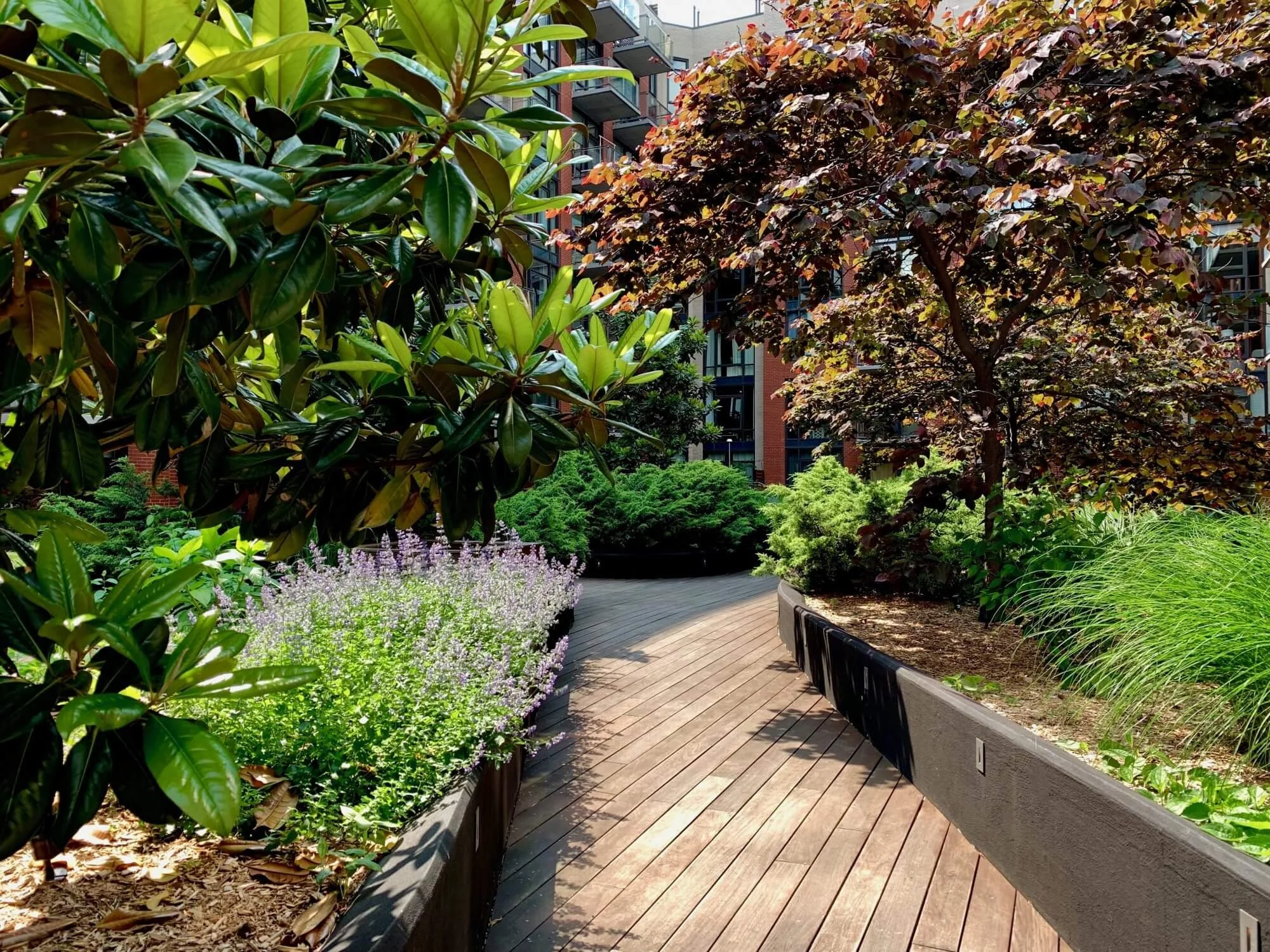 Copy of Highview-Creations-101-Bedford-greenroof10.jpg