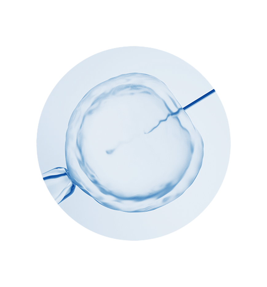 ICSI_01.png