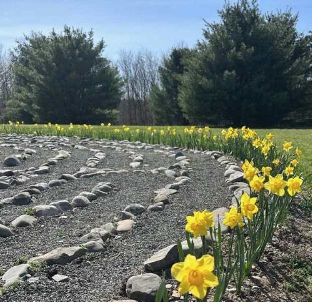 Rooted and Rising Women's Retreat