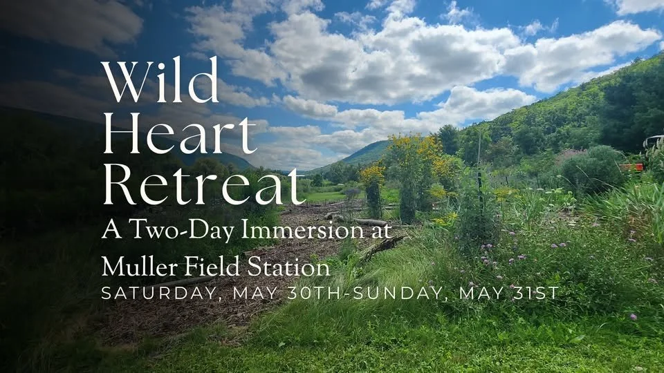 The Wild Heart Retreat