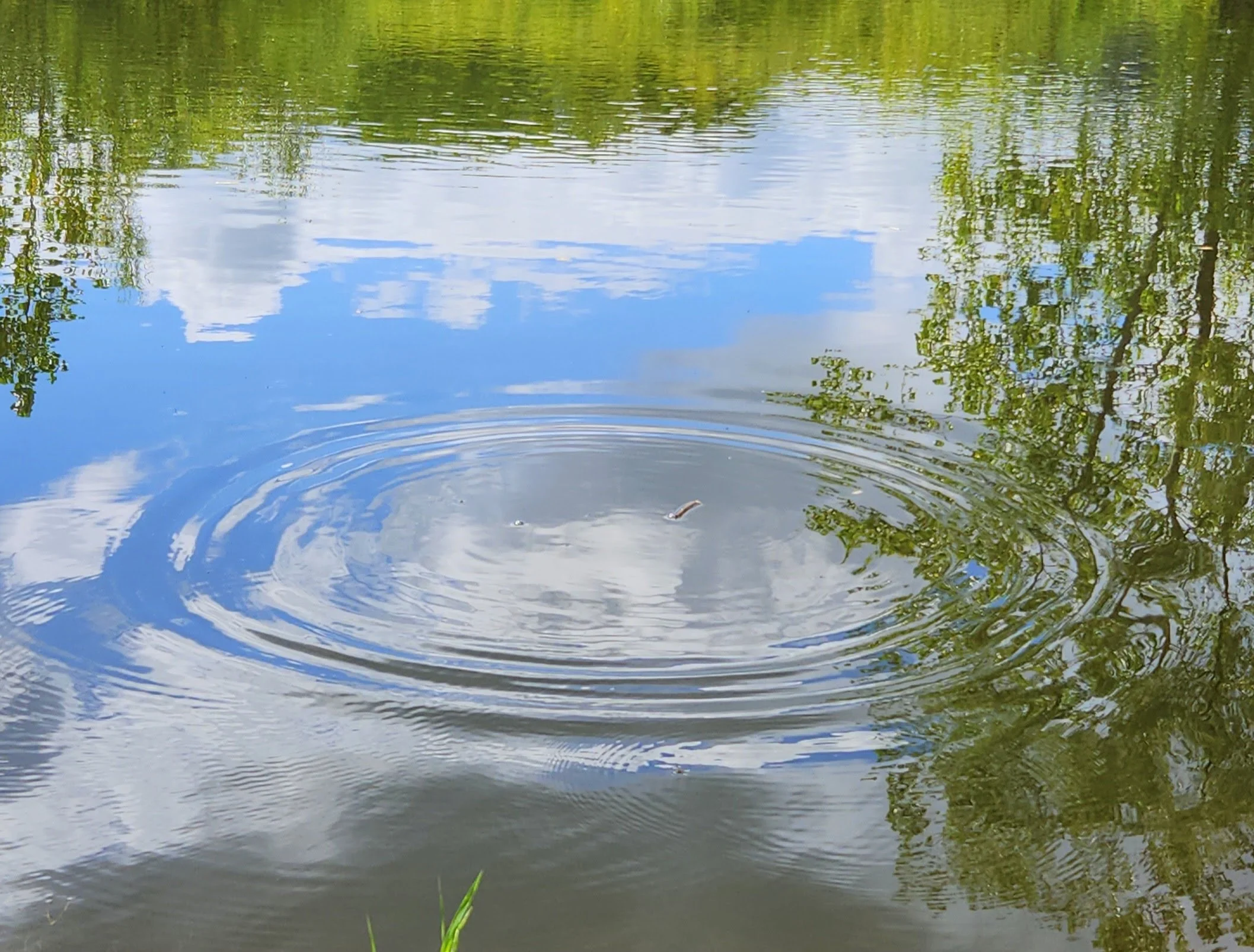 Water Communication via Crystallography ~&nbsp;Day Retreat &nbsp;~
