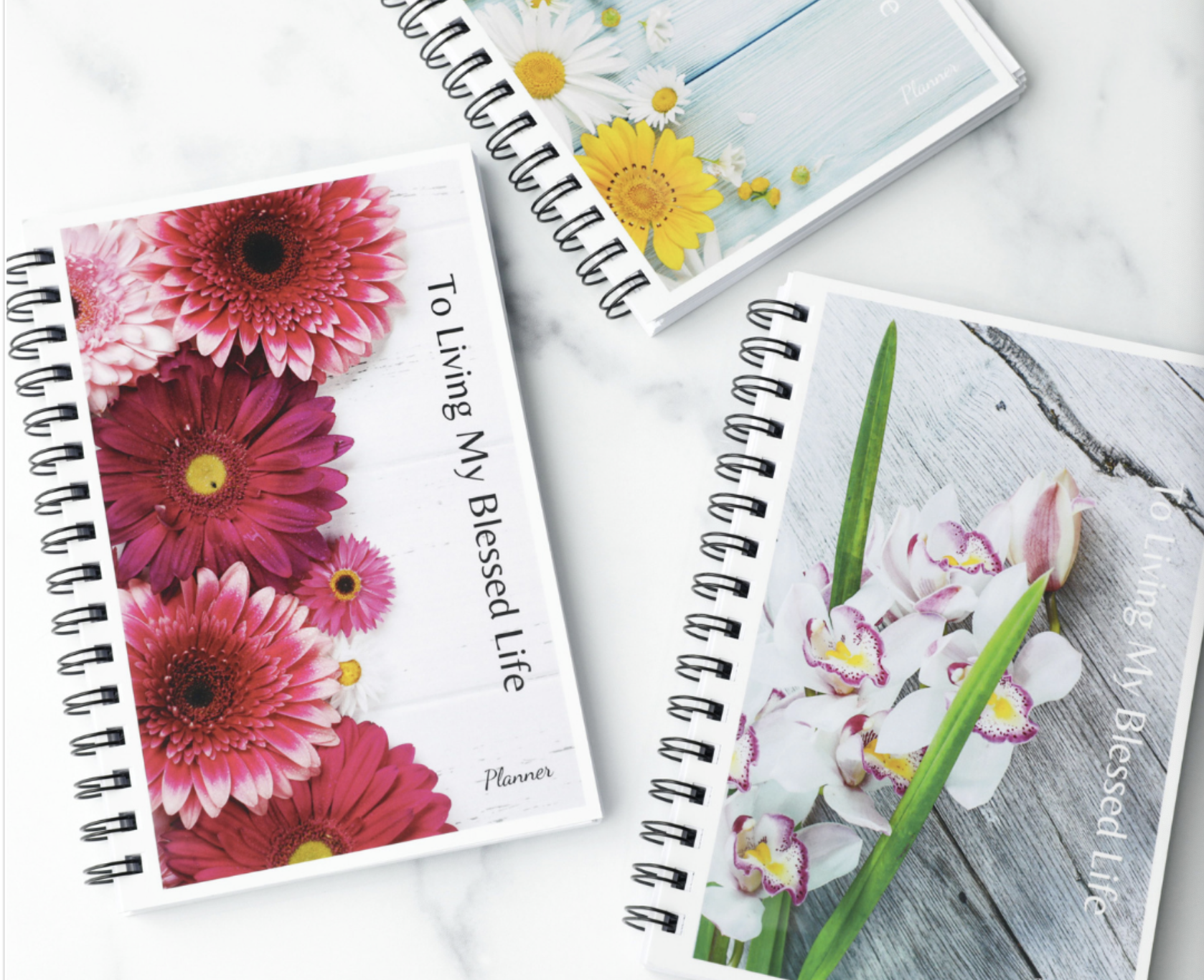 LBP product photo.png