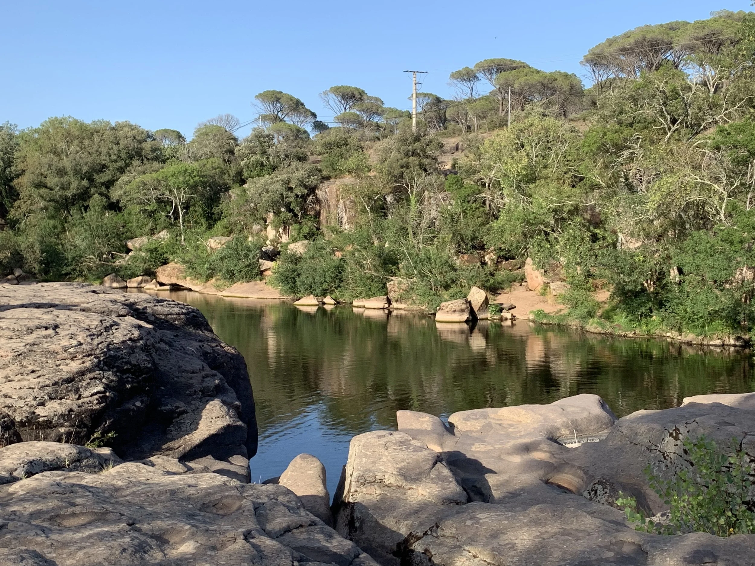 Rivière calme bordée d'arbres et de rochers, avec un ciel clair et ensoleillé.