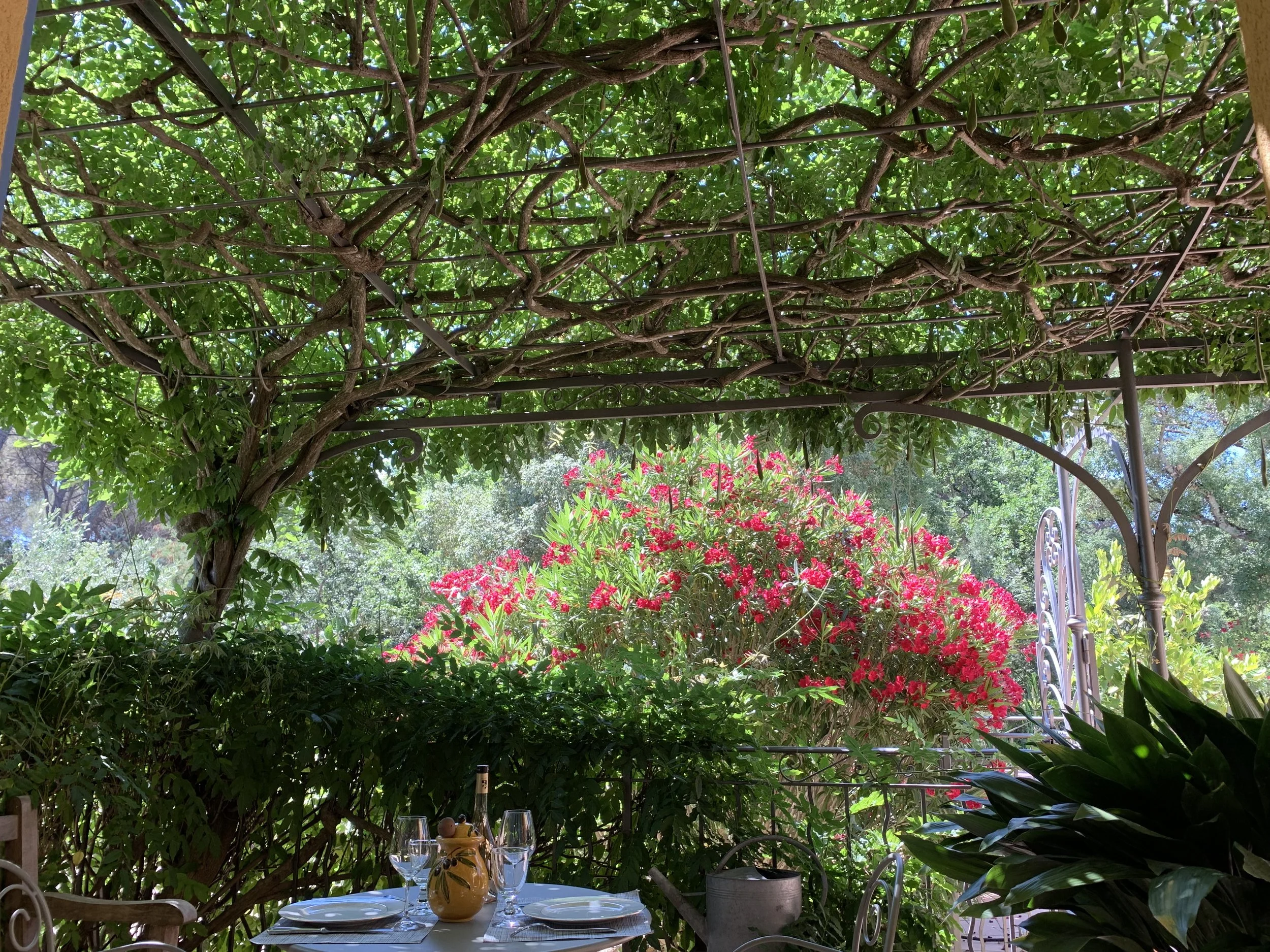 Chambre Double Sous les Pins Parasols