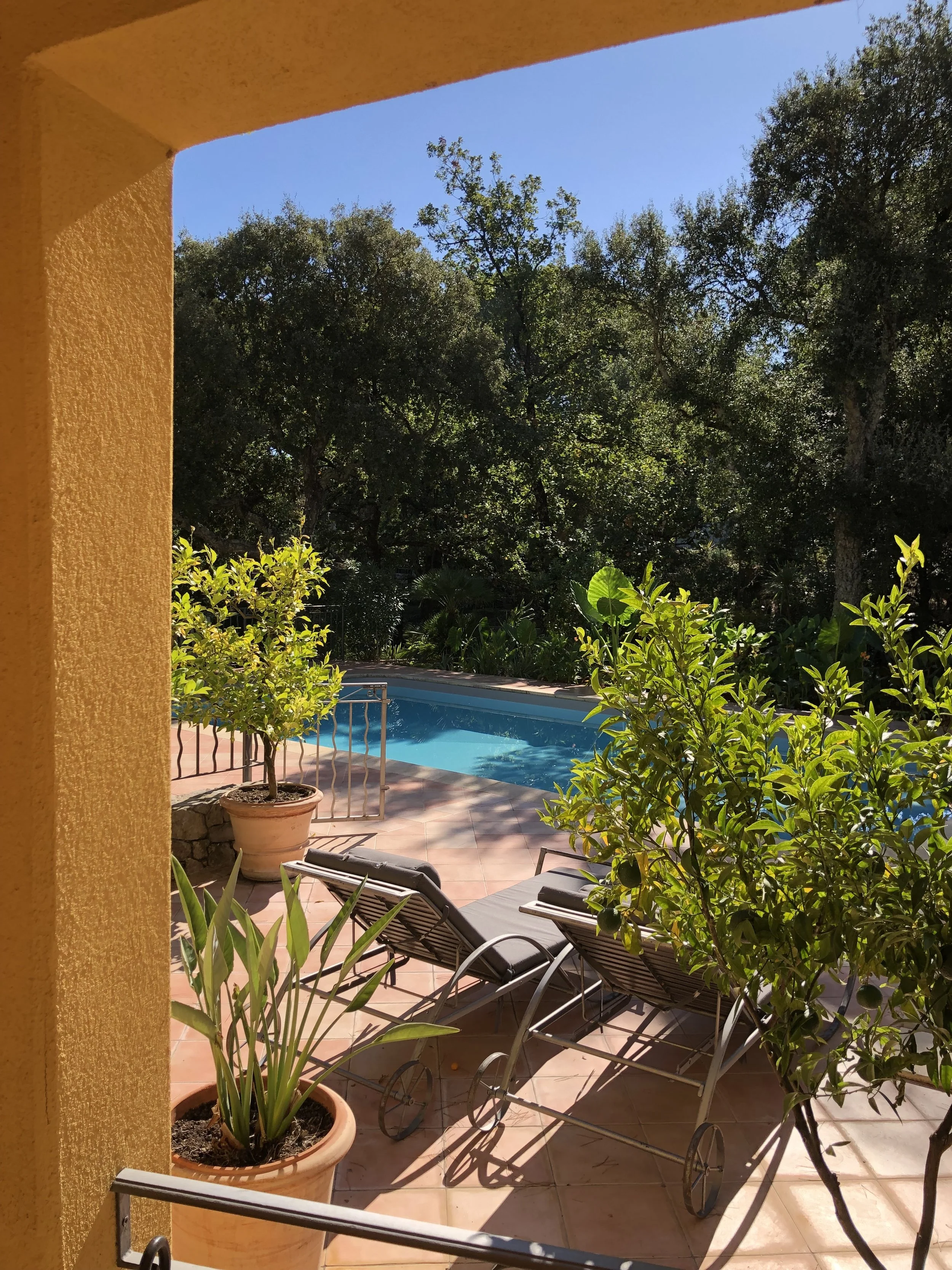 Une terrasse avec deux transats et des plantes en pot, donnant sur une piscine entourée de végétation verte et de grands arbres sous un ciel bleu clair.