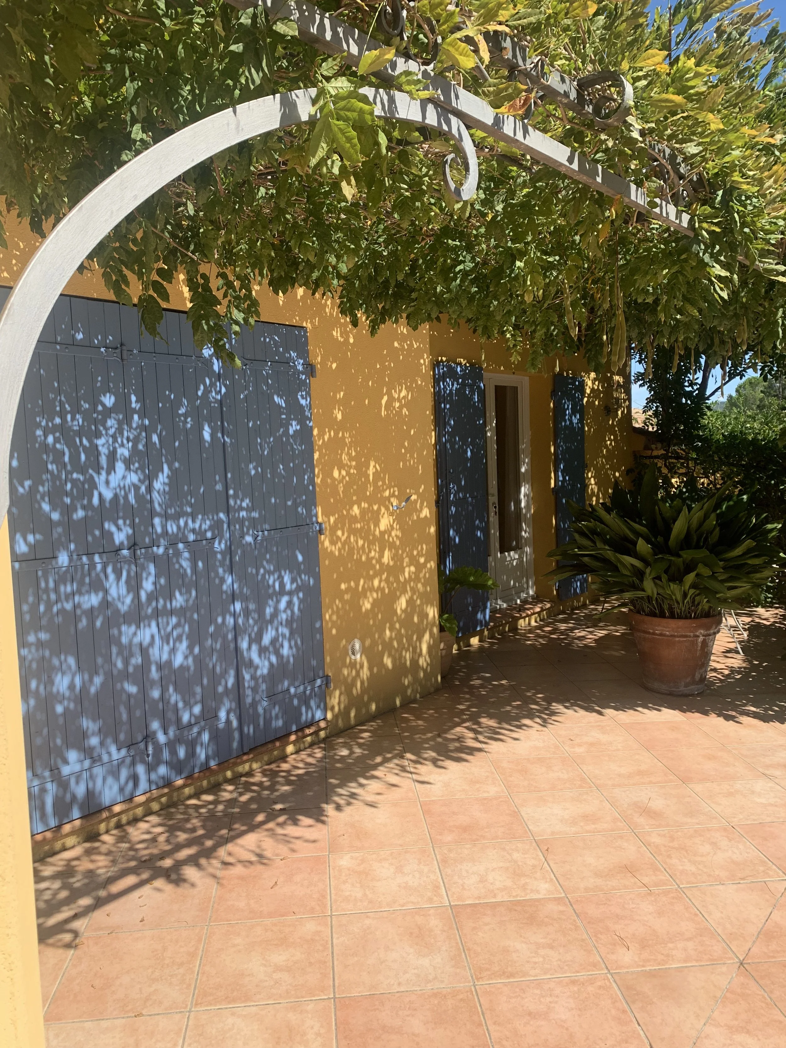 Une terrasse ensoleillée avec un mur jaune, des volets bleus, un plant de sesam dans un pot en terre cuite, ombres de feuilles d'un arbre créant des motifs de lumière.