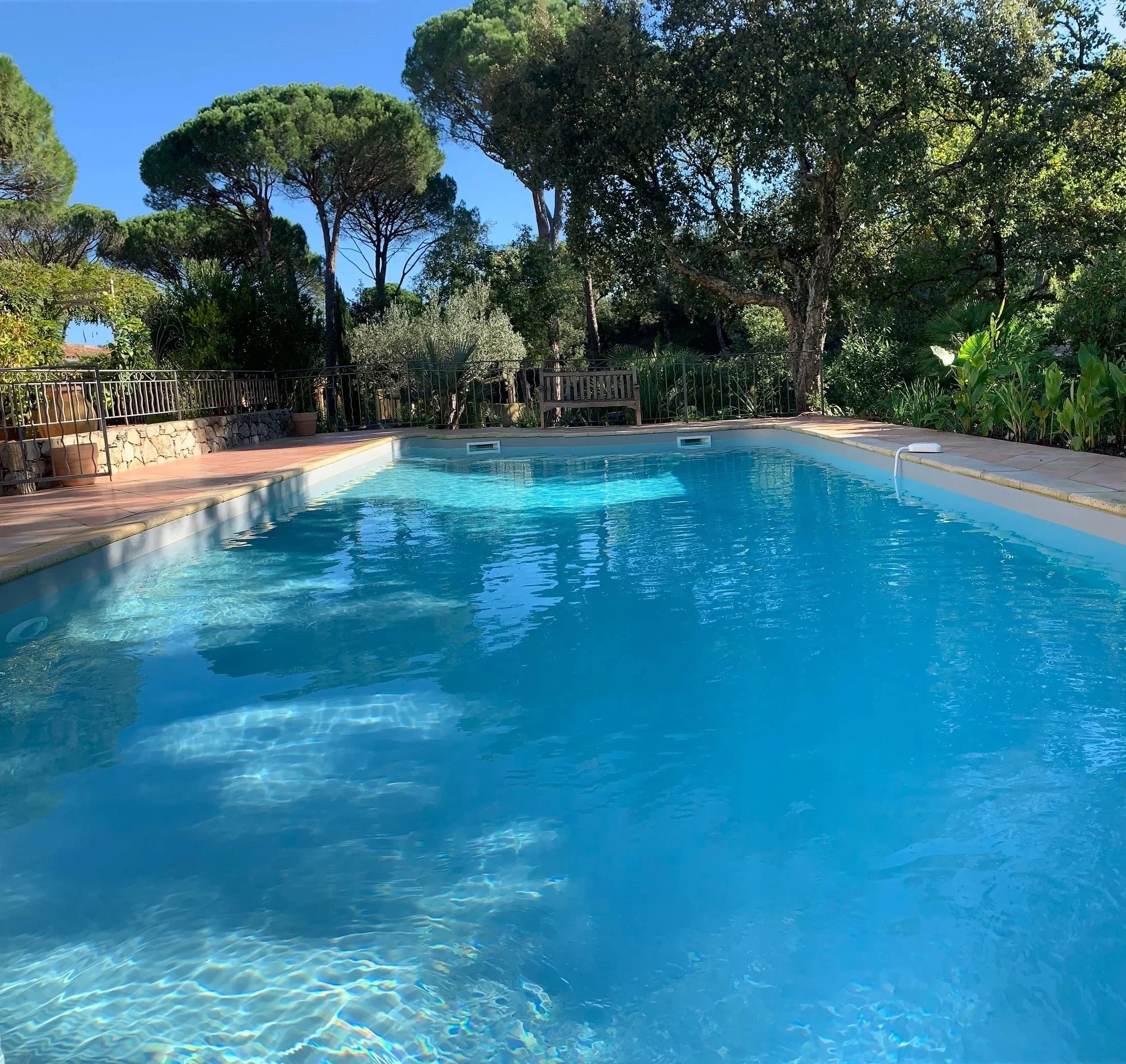 Piscine de la maison d'hôtes "Sous les Pins Parasols" à Vidauban, Provence