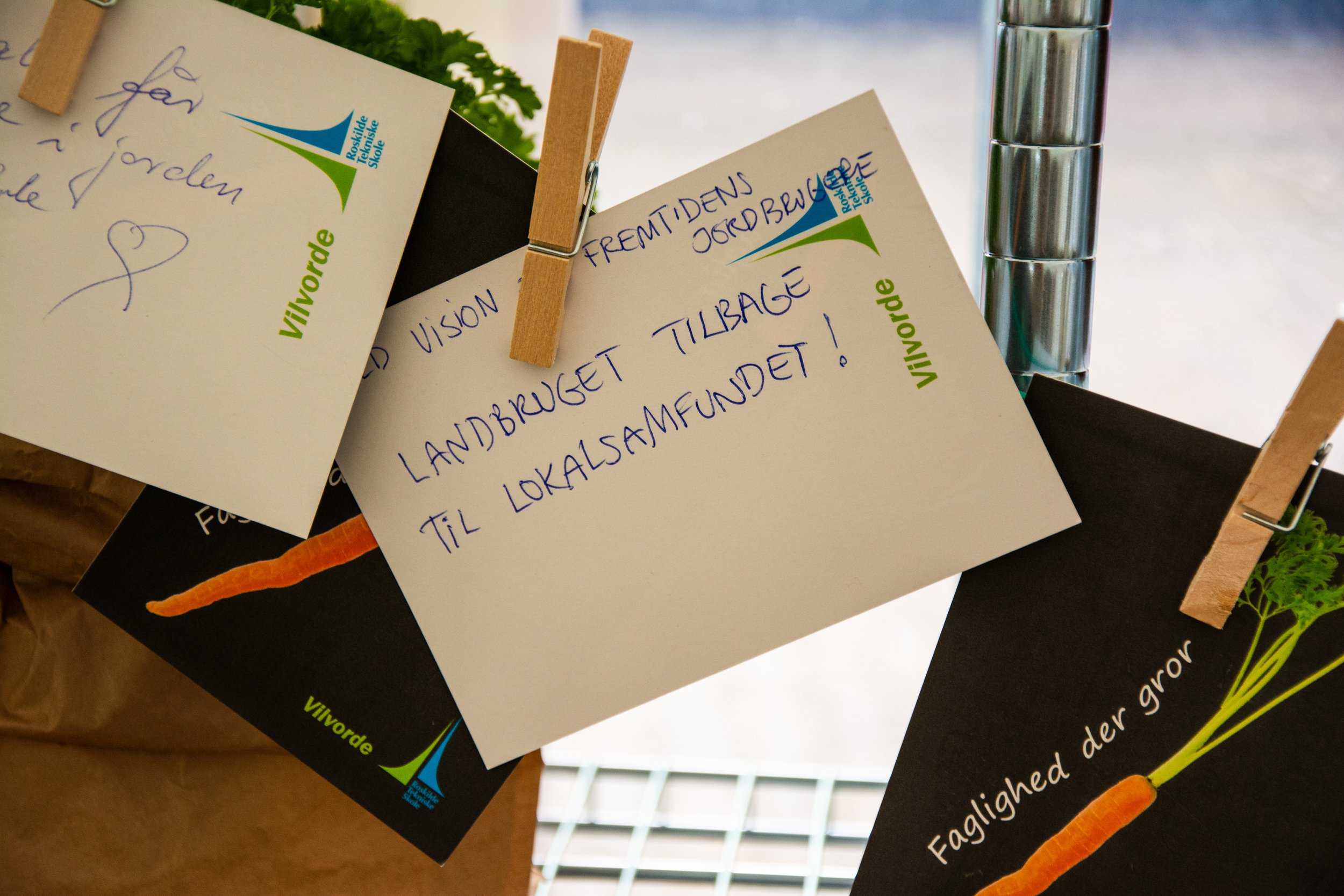 reg. fest. 2026 - foto- amalie risom nyrup-110.jpg