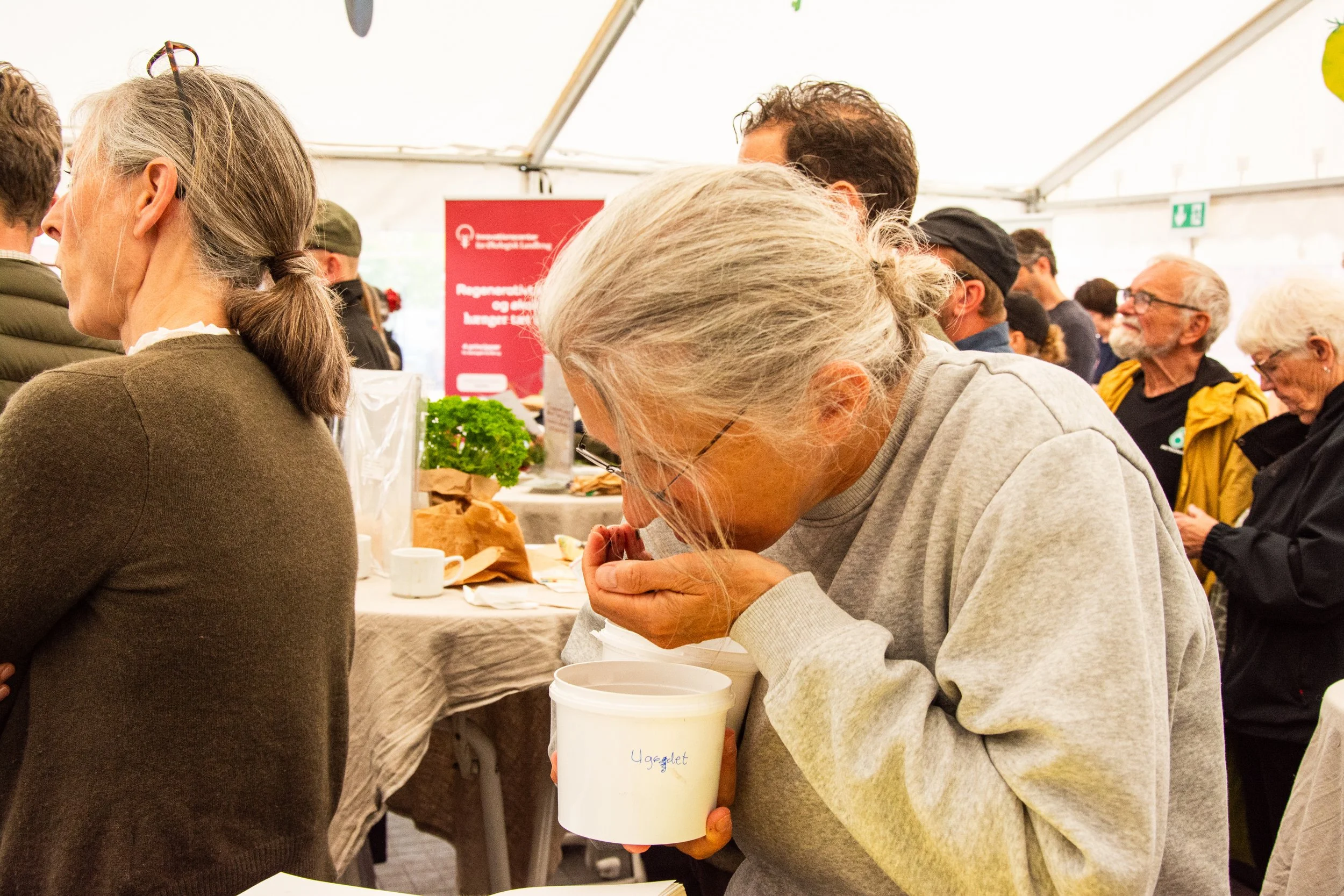 reg. fest. 2026 - foto- amalie risom nyrup-34.jpg