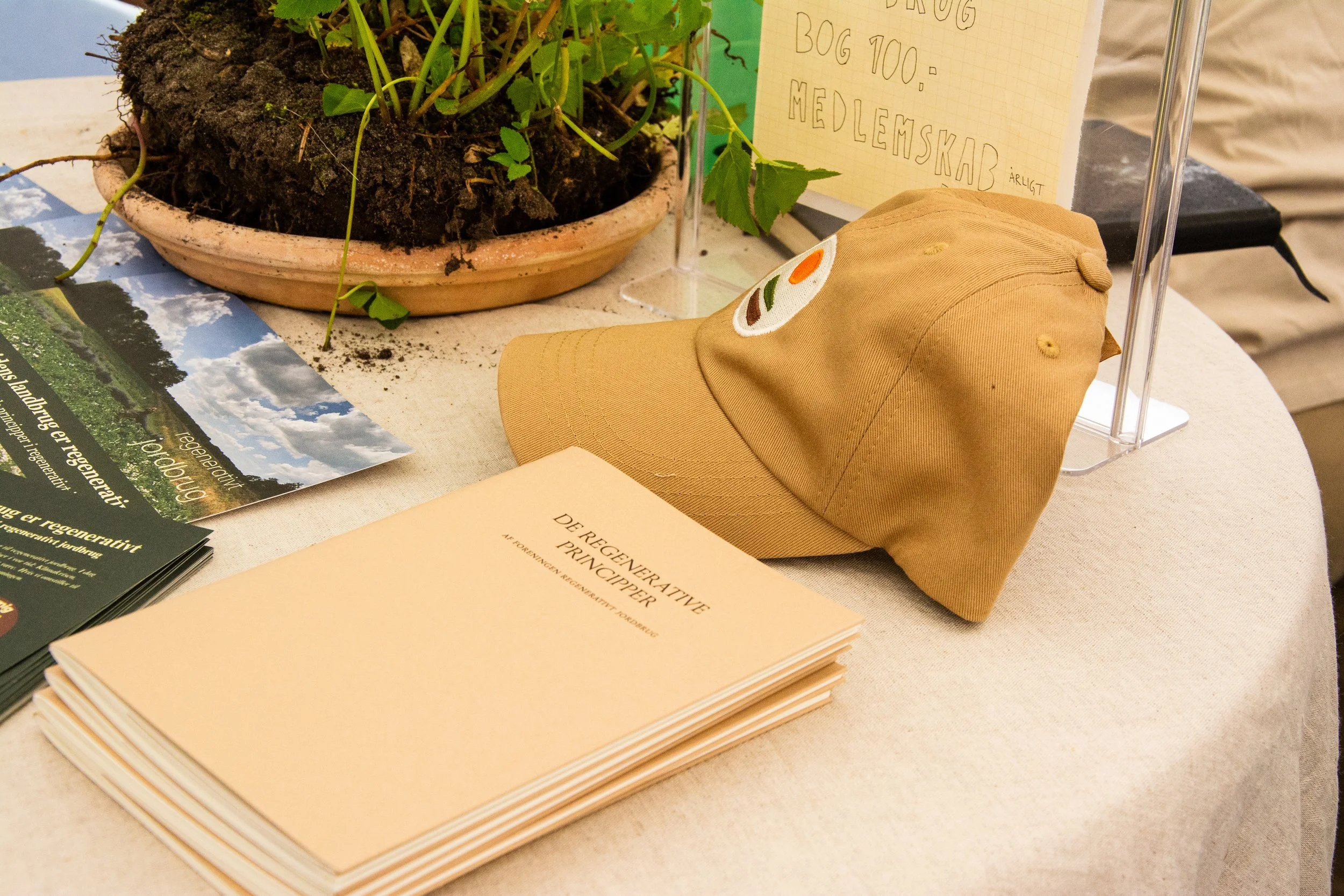 reg. fest. 2026 - foto- amalie risom nyrup-36.jpg