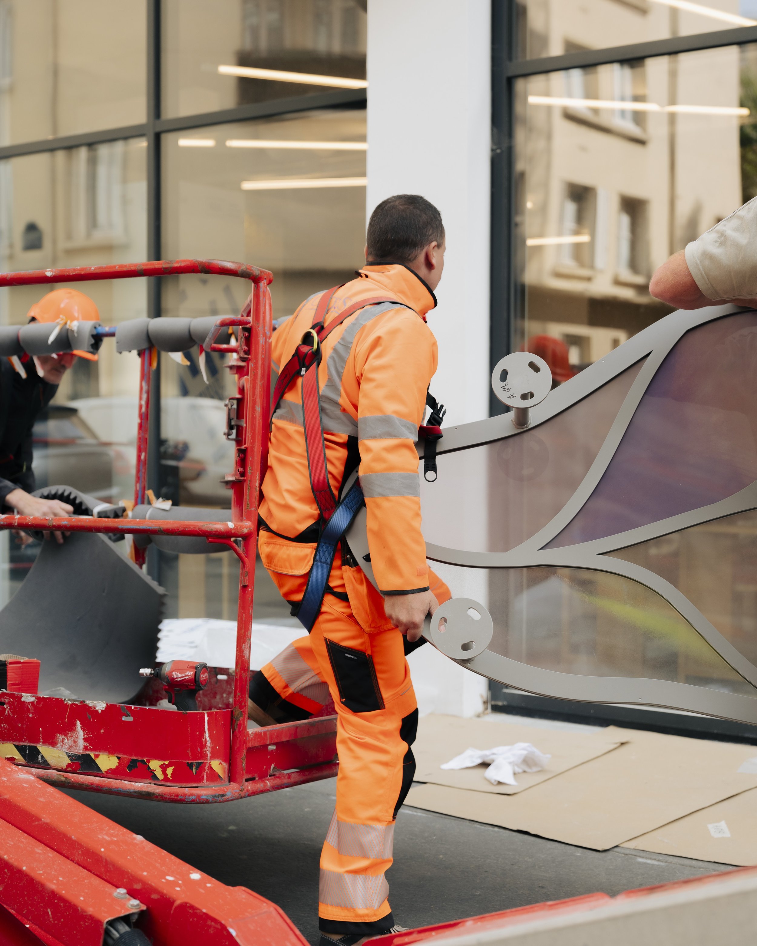 Hedera