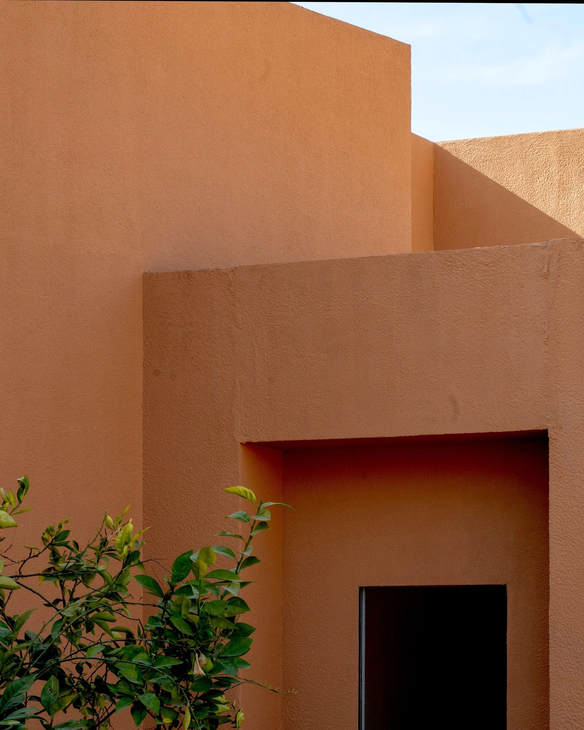 Alula_2