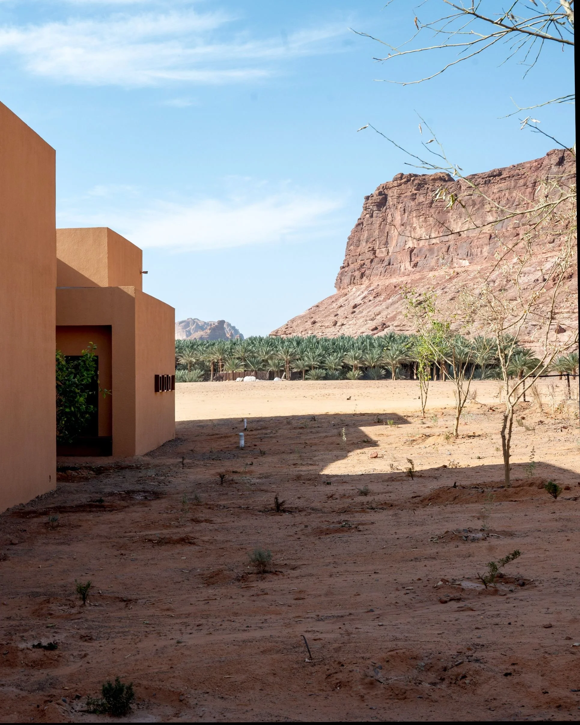 Alula_4B