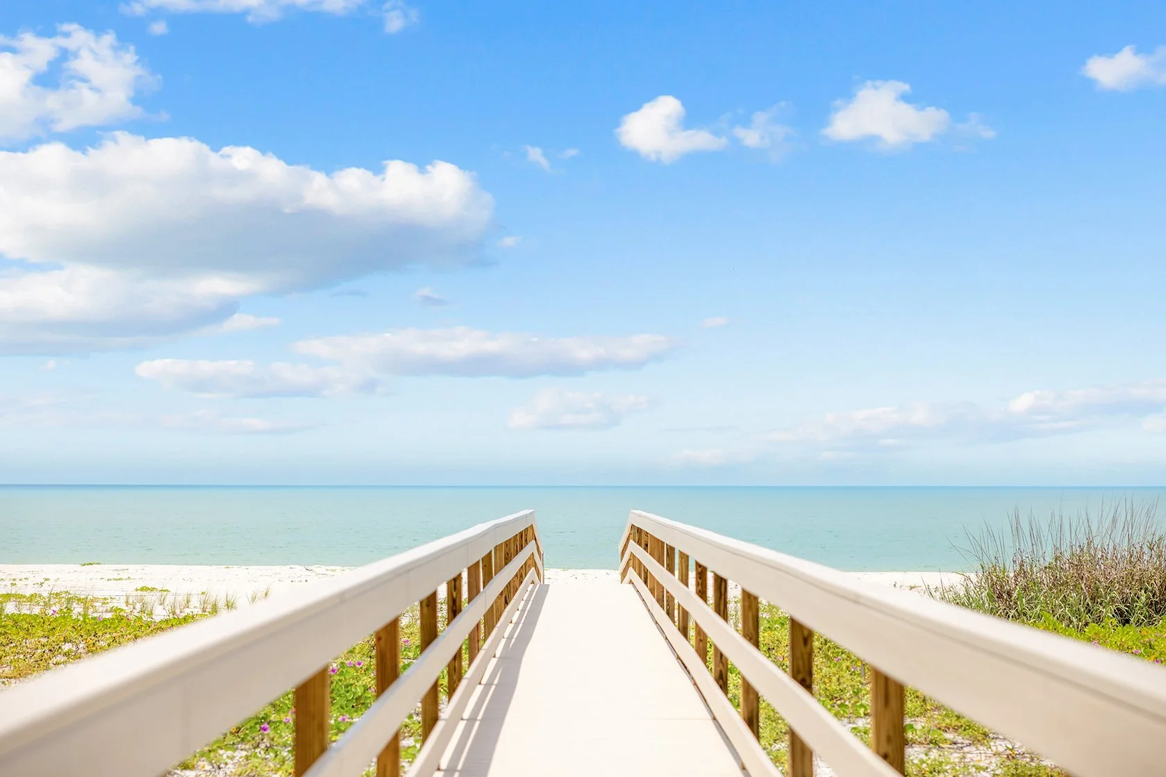 Beachview_Boardwalk.jpg