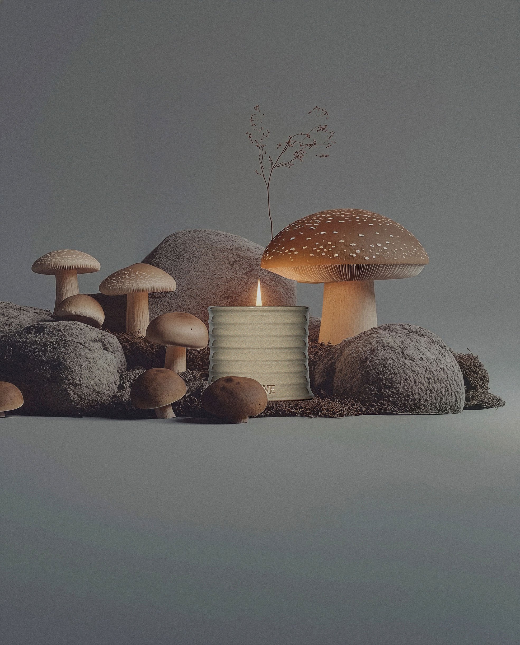 Group of mushrooms, rocks, a candle with a flame, and a small plant on a neutral background.