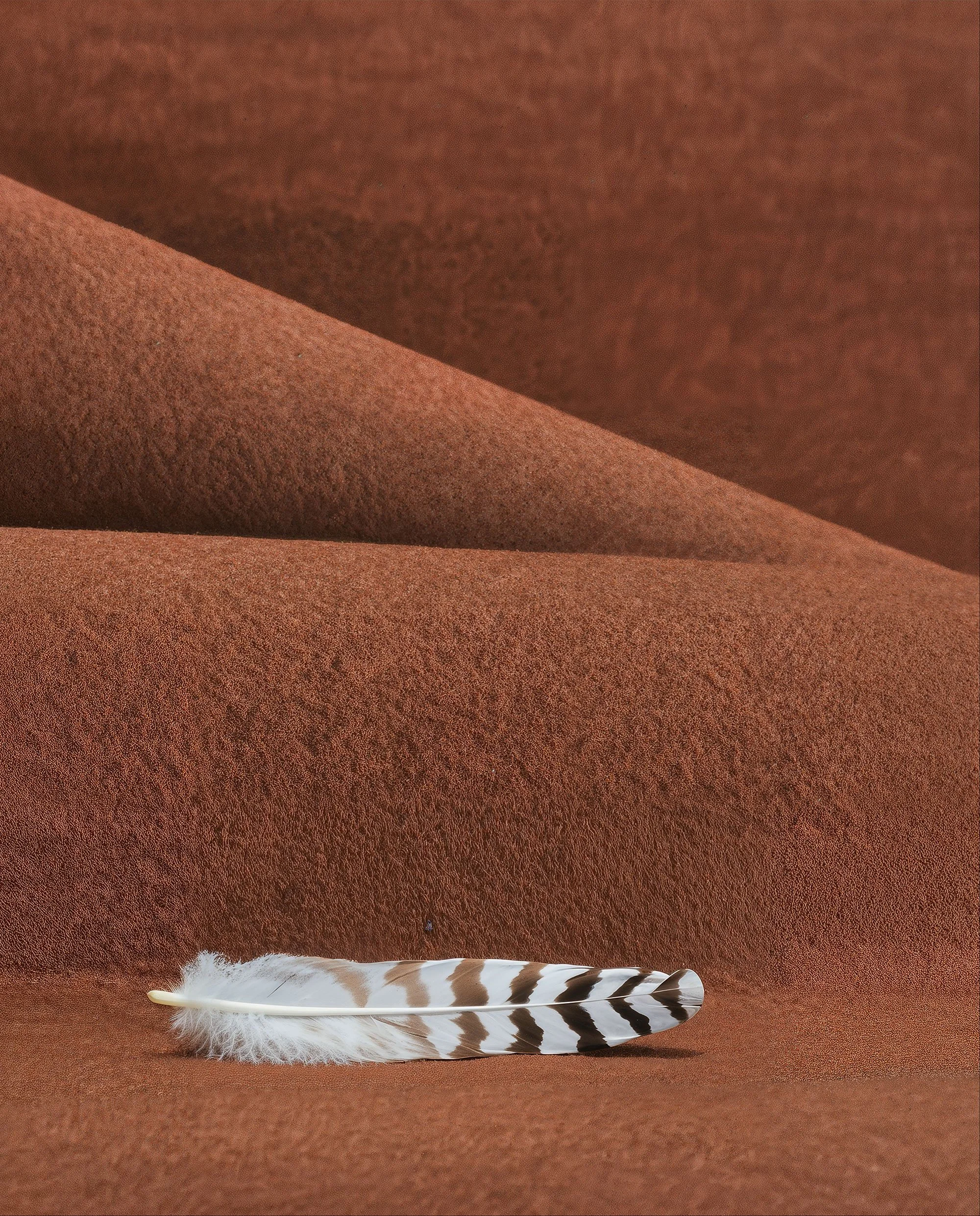 A close-up of a brown textured fabric background with a white feather with black zigzag patterns lying on it.