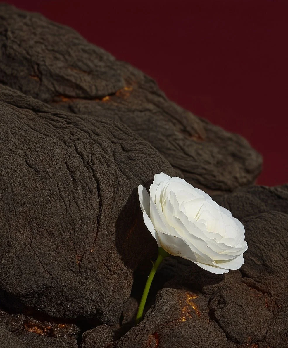 A white flower growing among dark, volcanic rocks with a red sky in the background.
