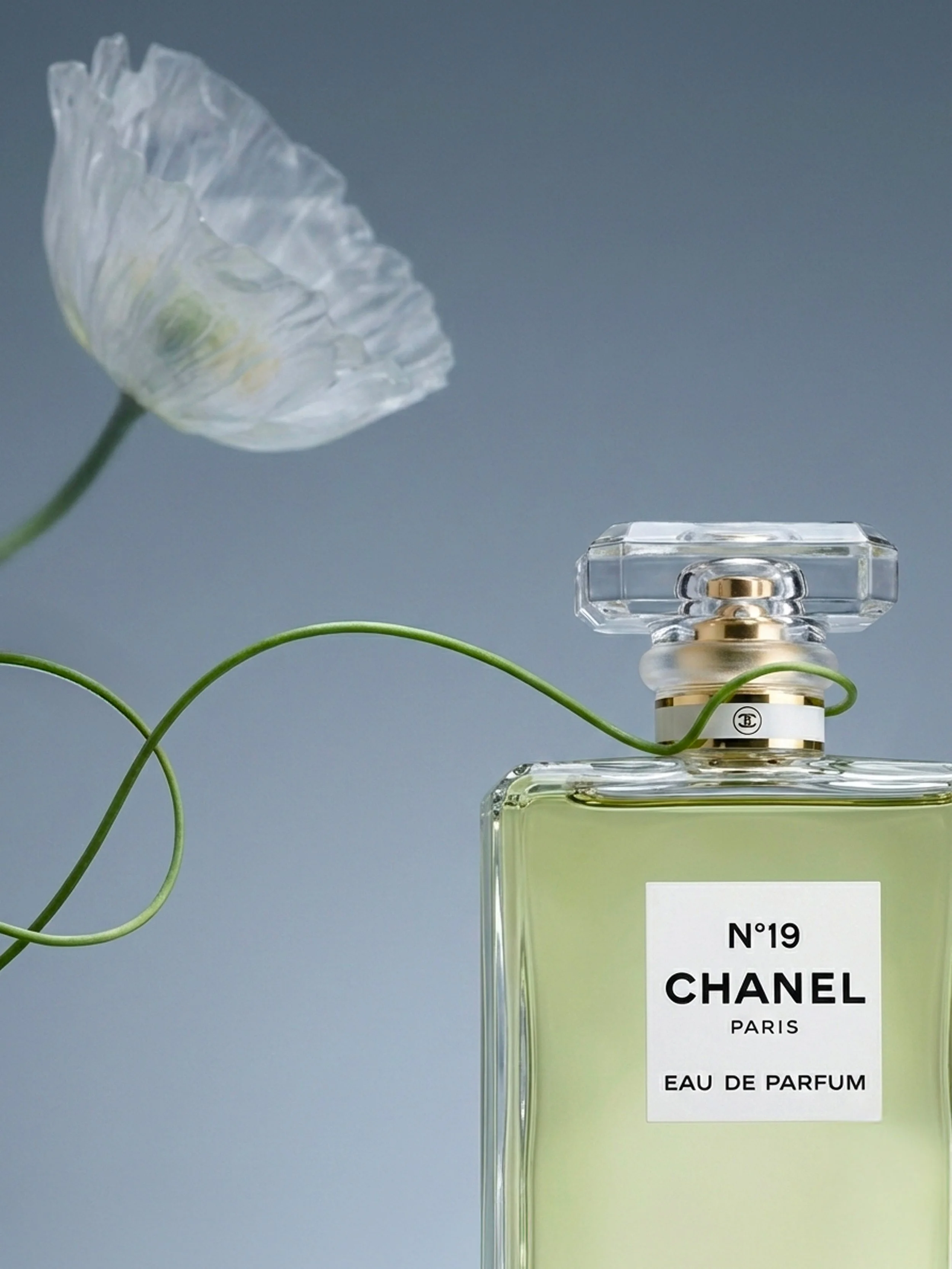 A bottle of Chanel N°19 Eau de Parfum with a white poppy flower in the background.