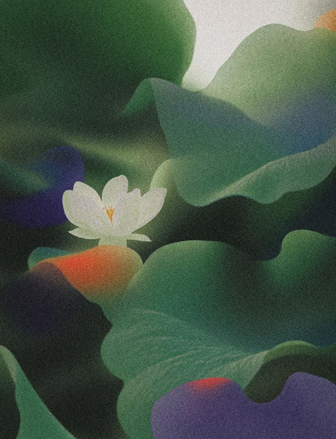 A close-up of a white water lily flower surrounded by large green lily pads.