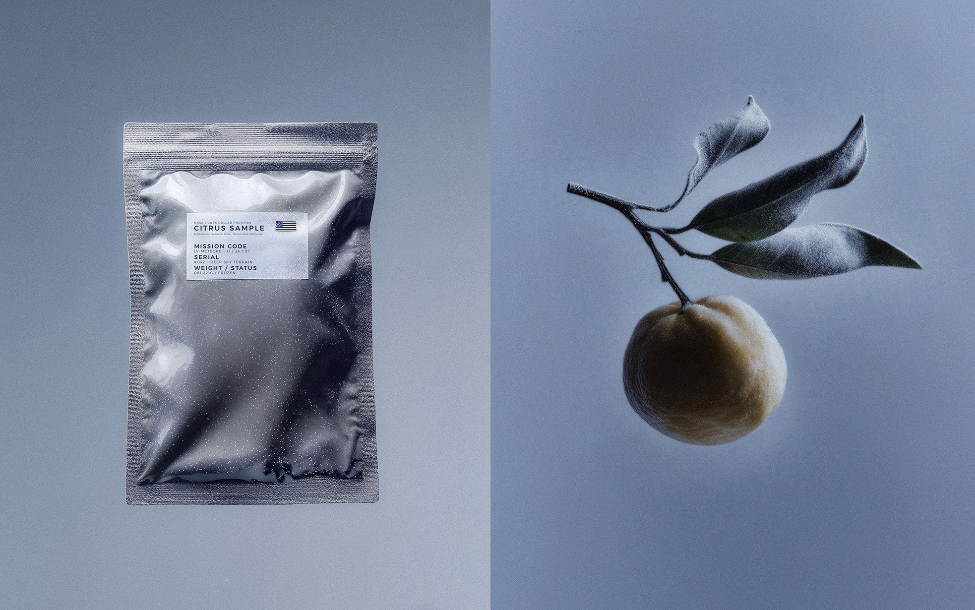 A silver package labeled 'CITRUS SAMPLE' on the left and a branch with leaves and a yellow fruit on the right, against a blue background.