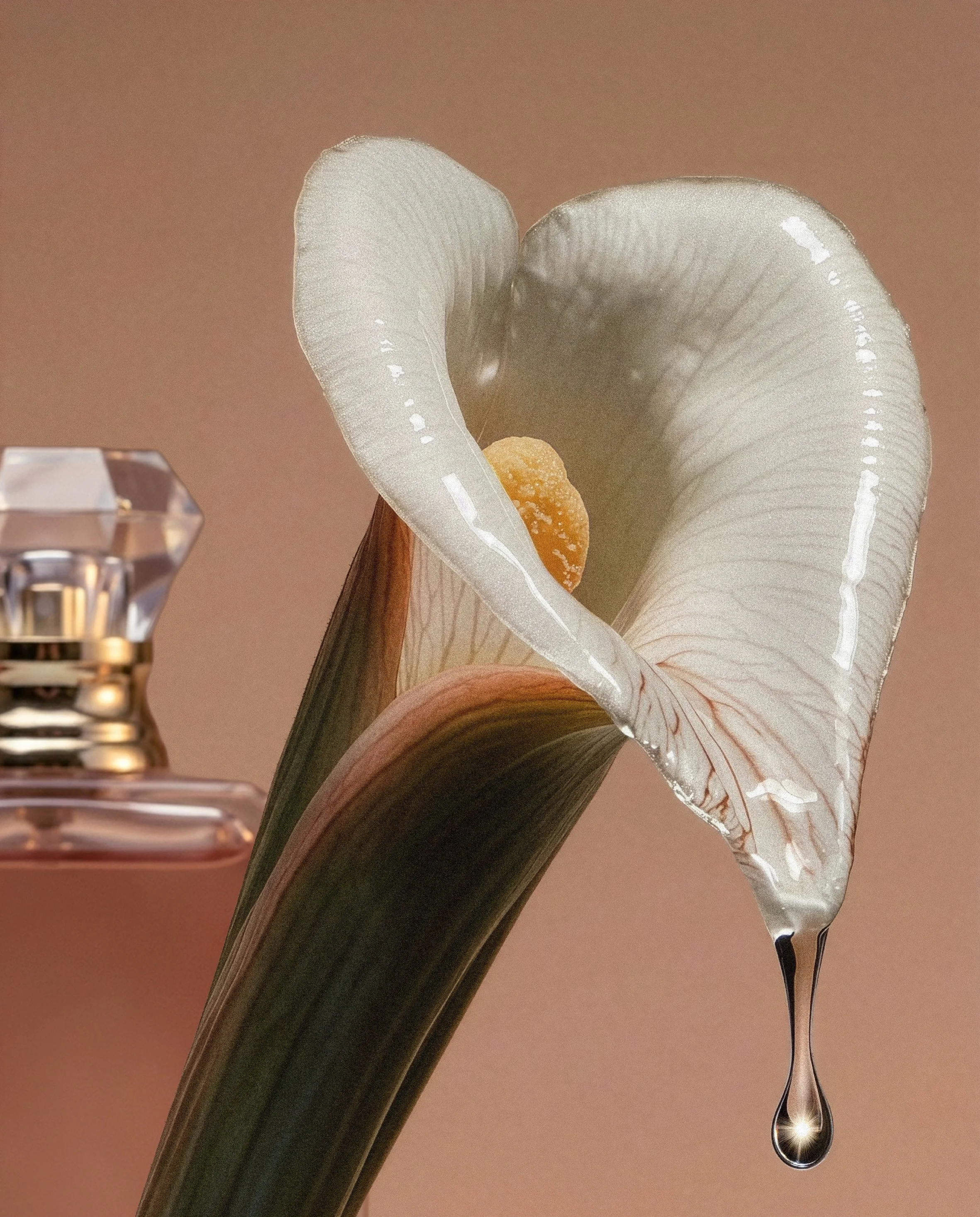 Close-up of a white calla lily flower with a droplet of water hanging from its petal, and a perfume bottle in the background.