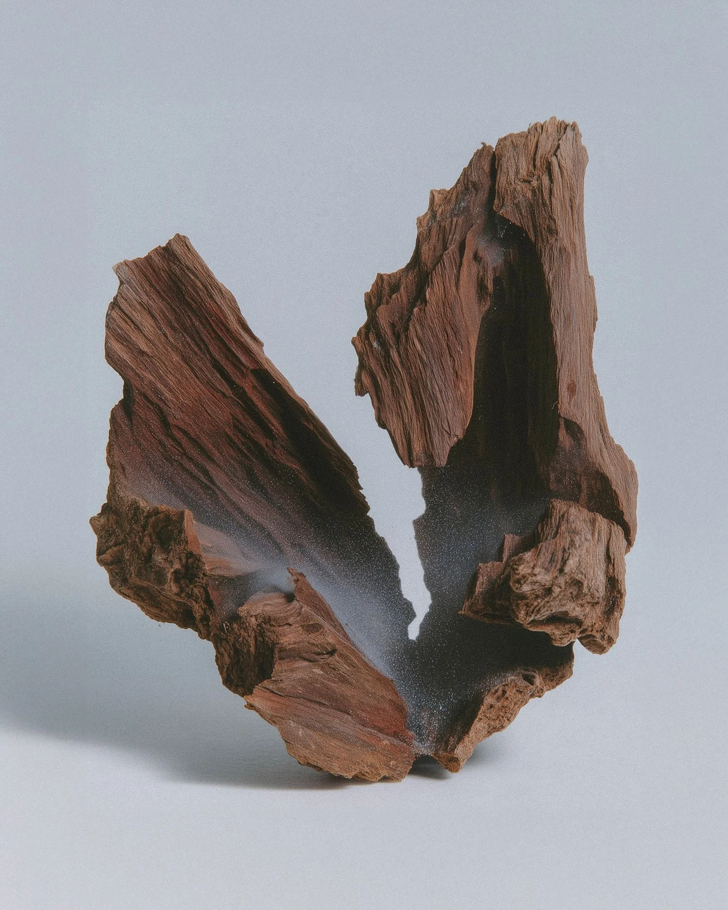 A piece of wood broken into two parts with a dark, textured interior, displayed against a plain background.