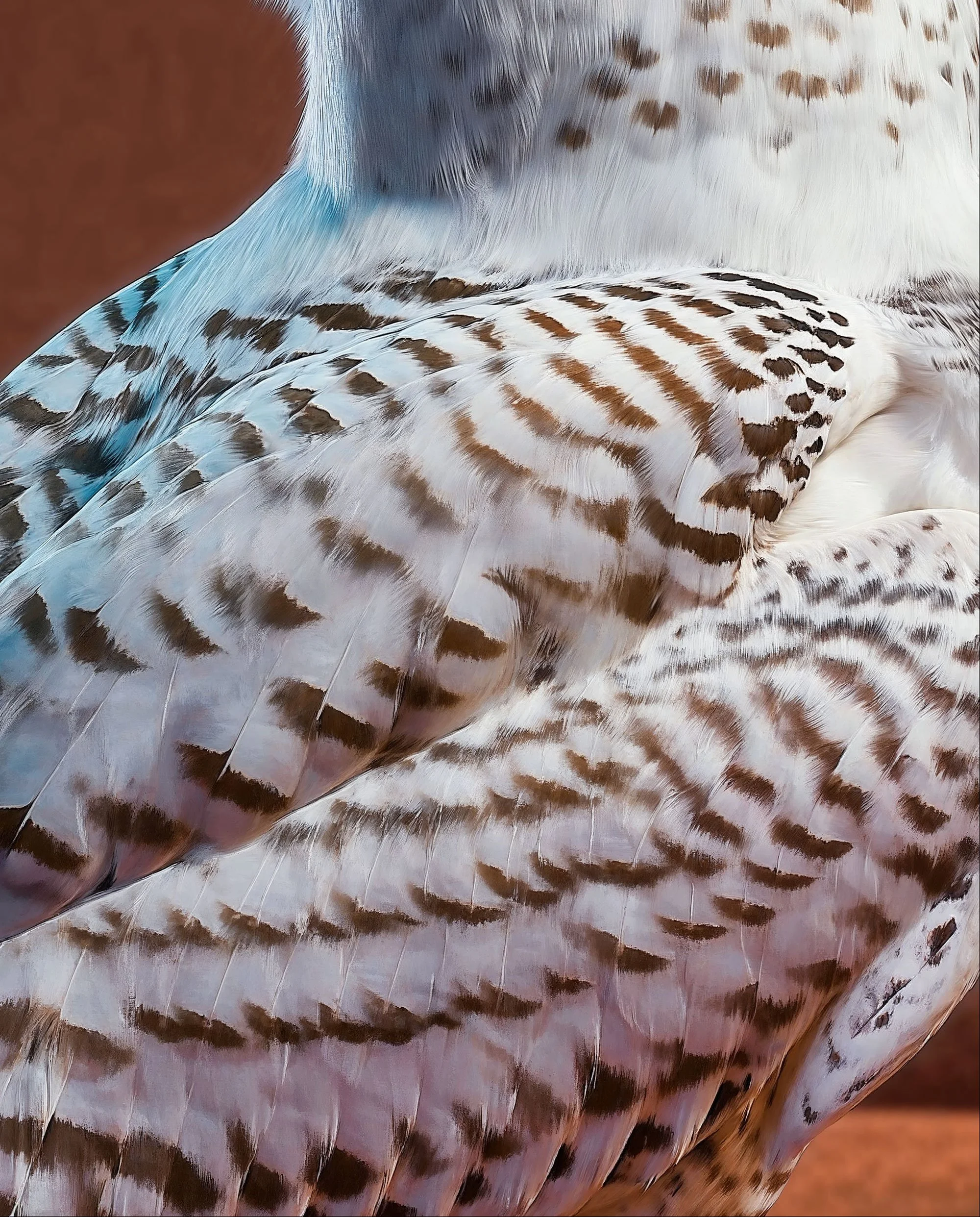Close-up of a bird's feathers, showing a pattern of white, brown, and light blue feathers.