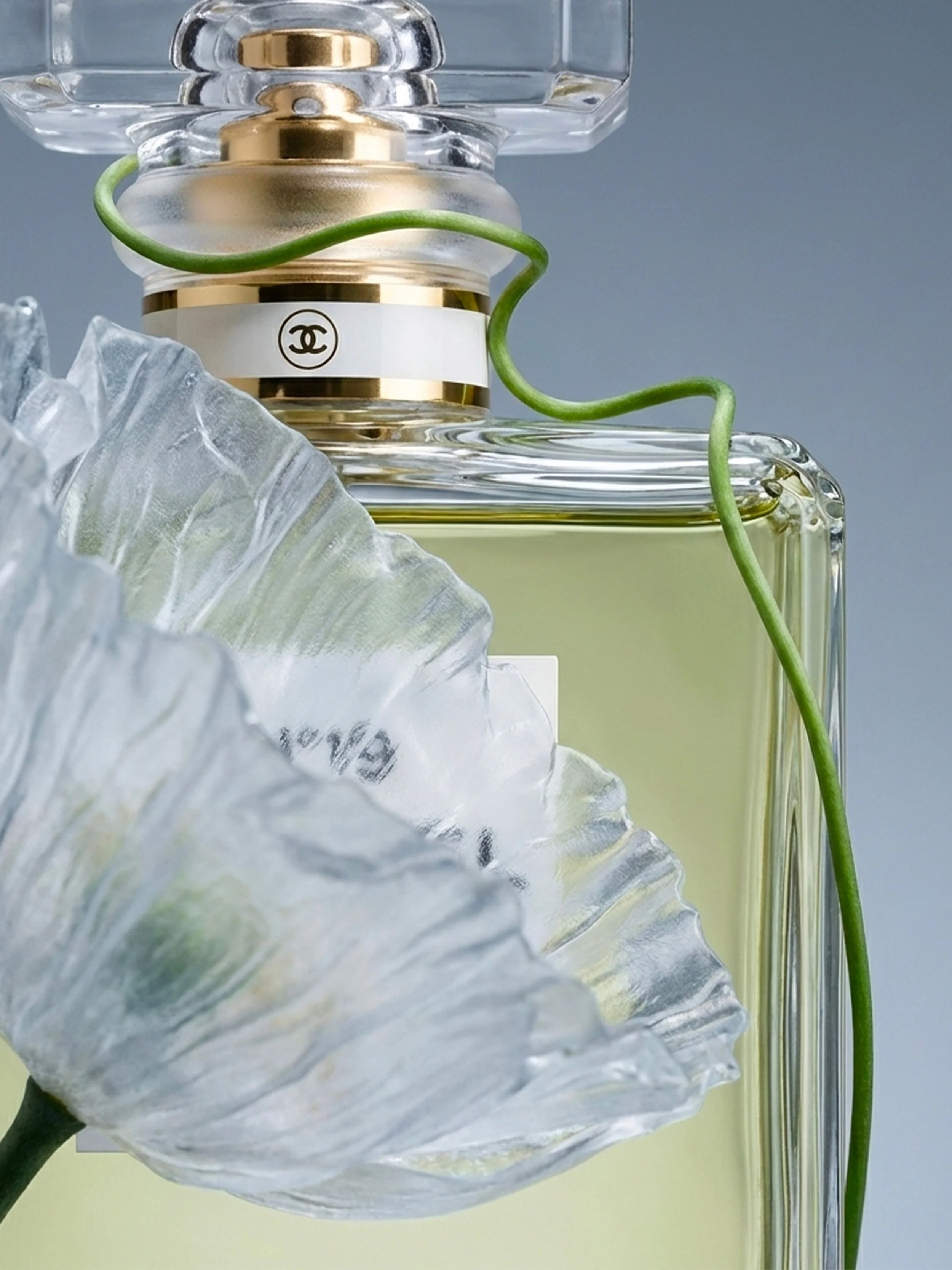 Close-up of a perfume bottle with a transparent glass design, a white and gold label, and a Chanel logo, alongside a green vine and a silver-foil wrapped flower, all set against a pale gray background.