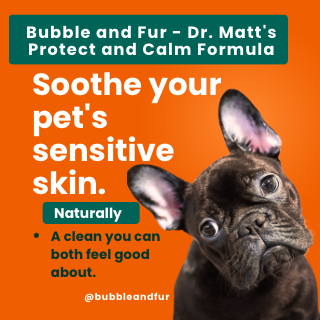 Advertisement for Bubble and Fur, a pet skincare product by Dr. Matt's Protect and Calm Formula, featuring a French Bulldog with a black coat and wrinkled face on an orange background.