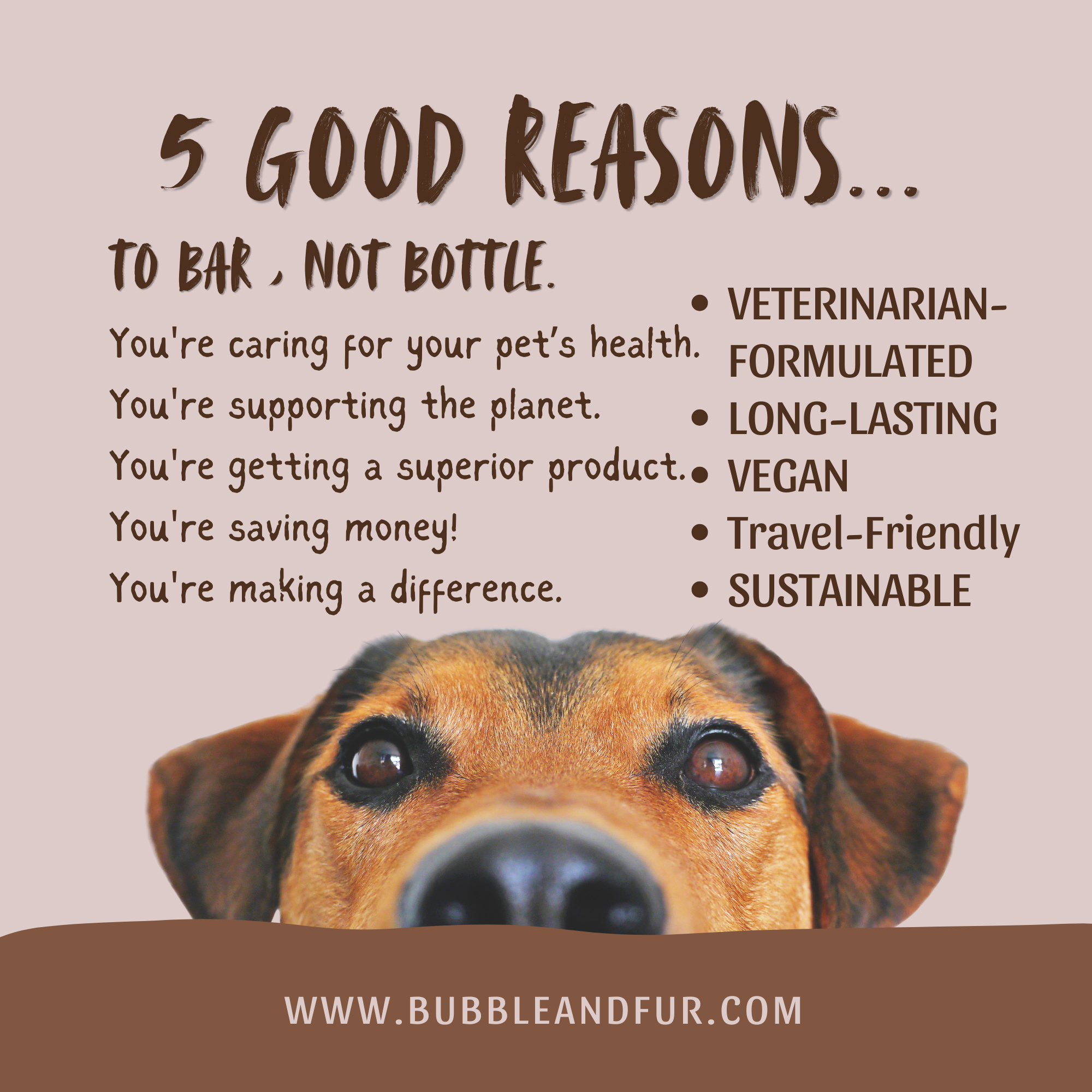 INSTA - to Bar , Not Bottle (800 x 600 px) (600 x 600 px) (800 x 800 px) (2000 x 2000 px) (1).png