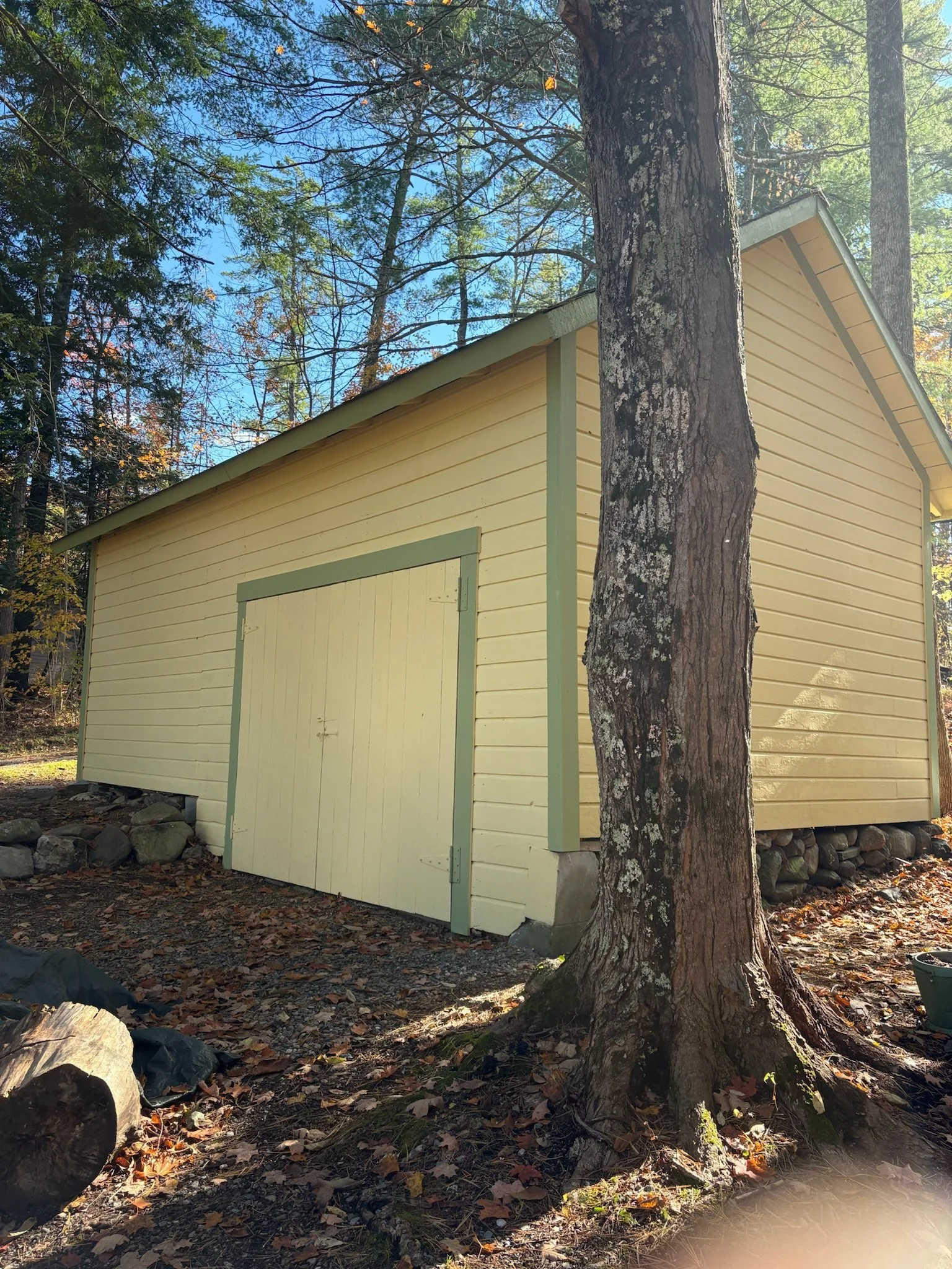 A yellow wooden shed with green trim next to a large tree in a wooded area, with rocks at the base and a leaf-covered ground.