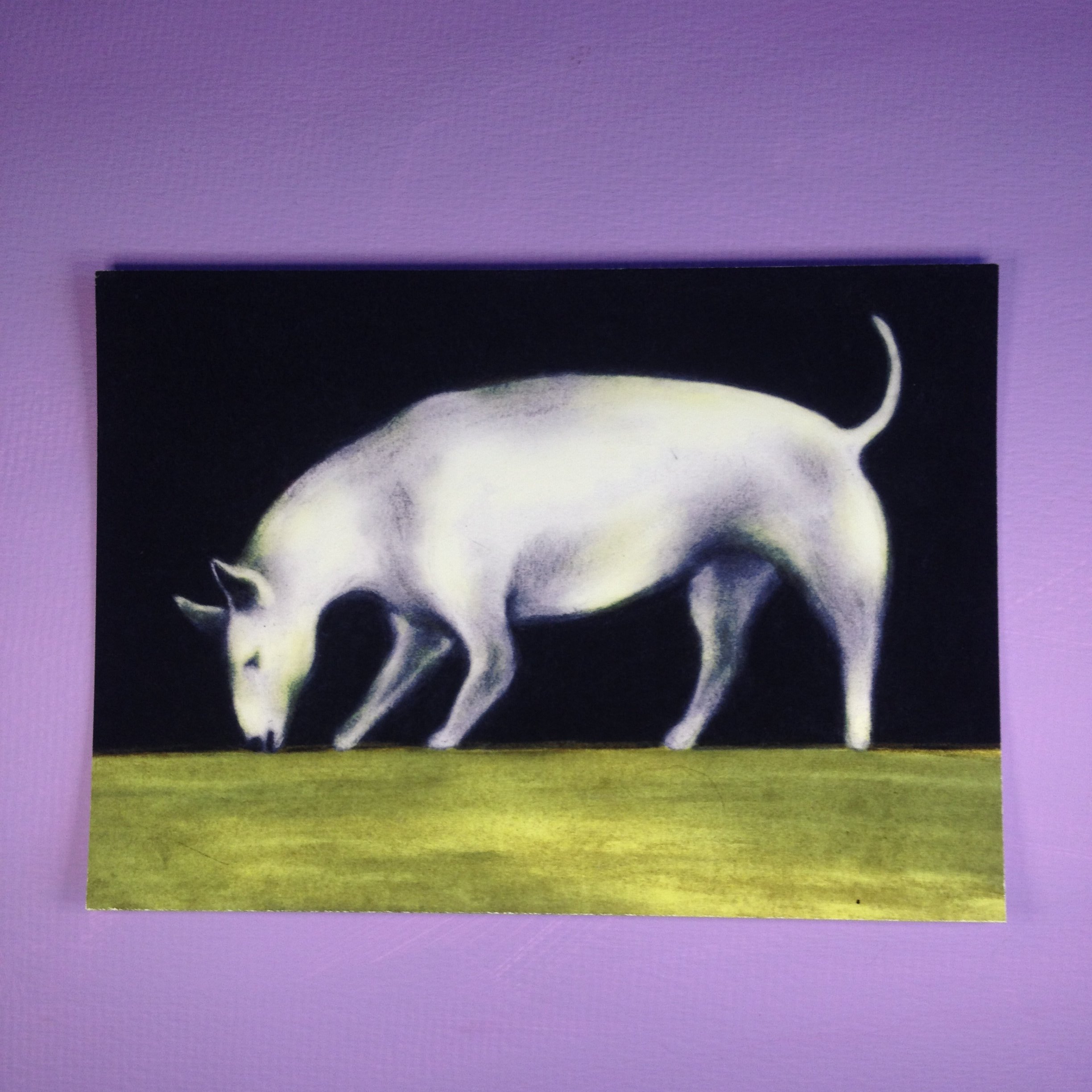 BULLTERRIER