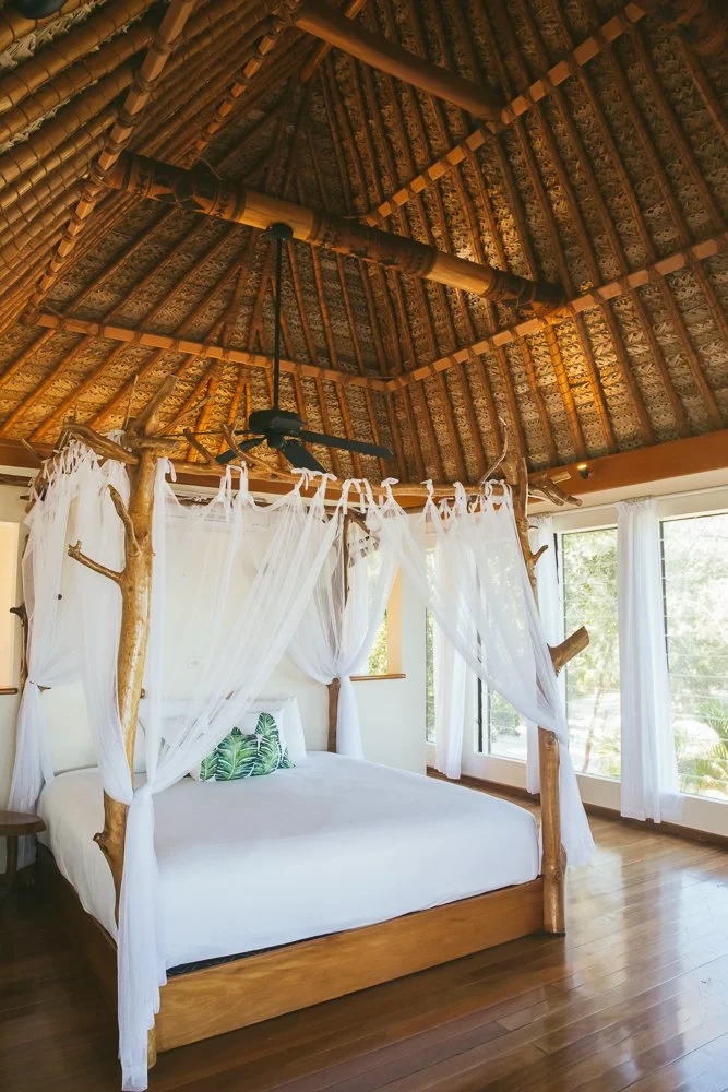 Turtle Island- room 4.jpg