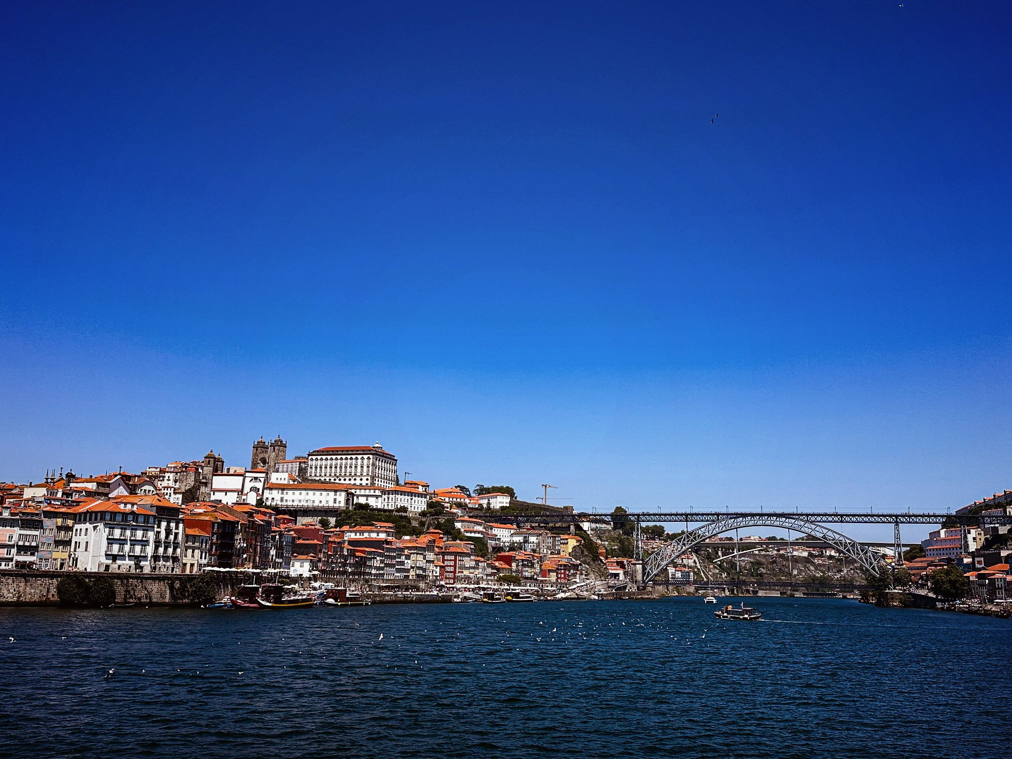 Douro River Porto Portugal_7.jpg