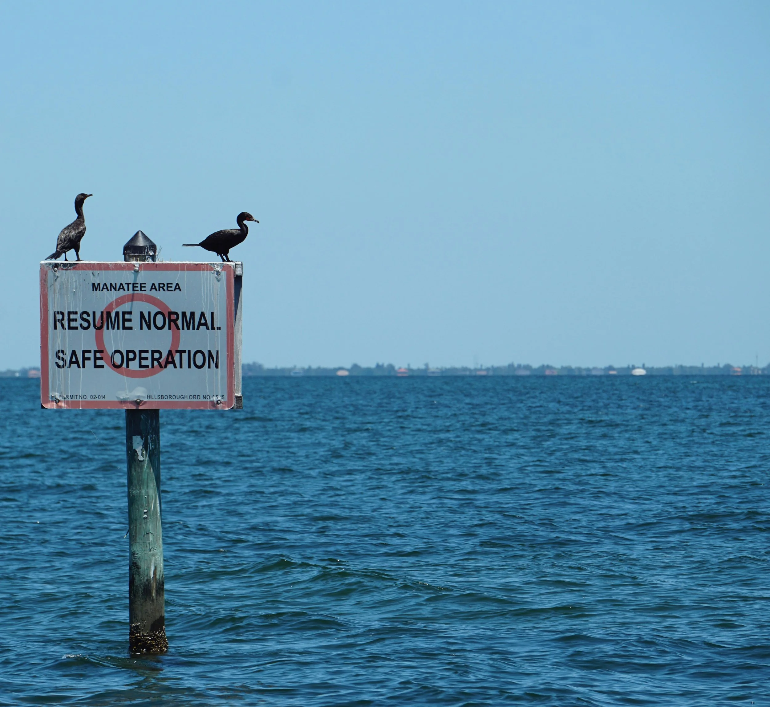 the-tampa-bay-estuary-program-EhF5K_0a_bM-unsplash.jpg