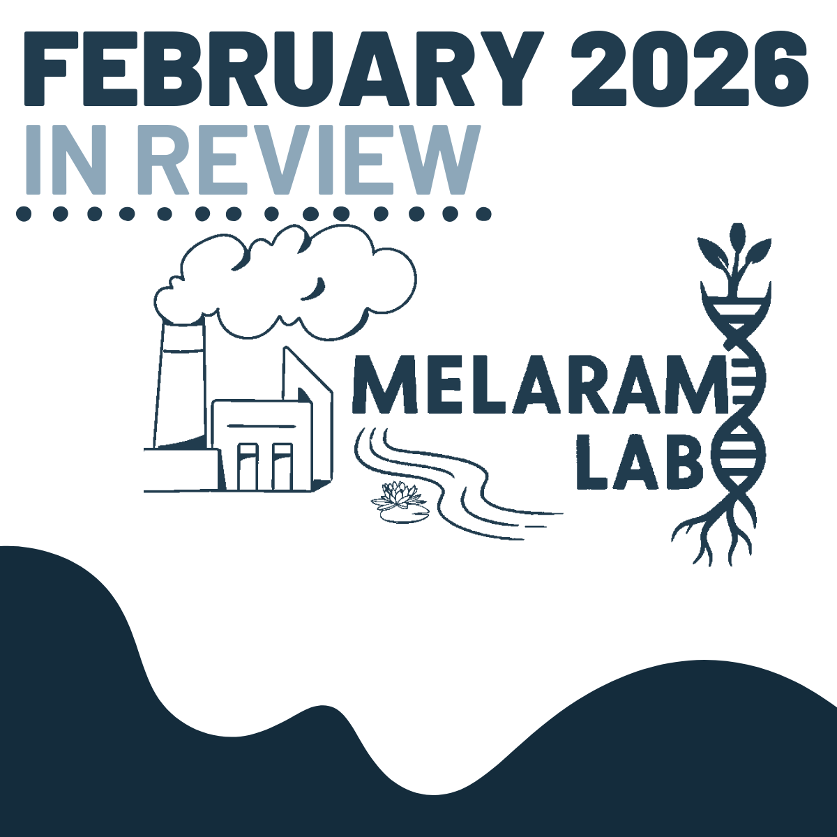 February Month in Review