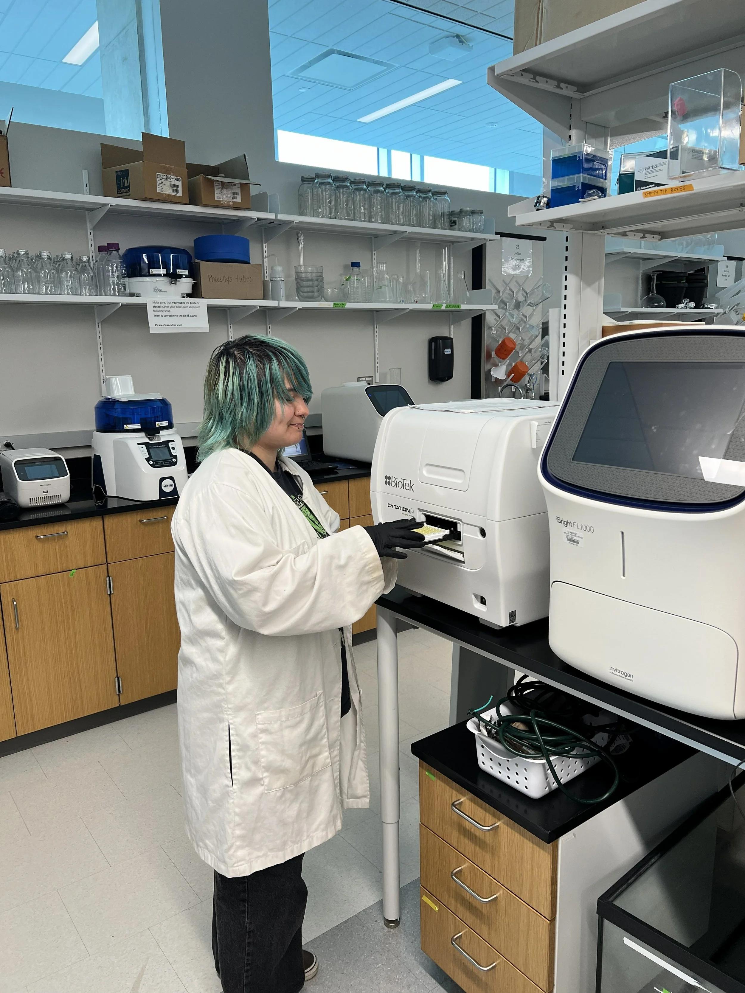 Cyanotoxin ELISA Analysis Complete