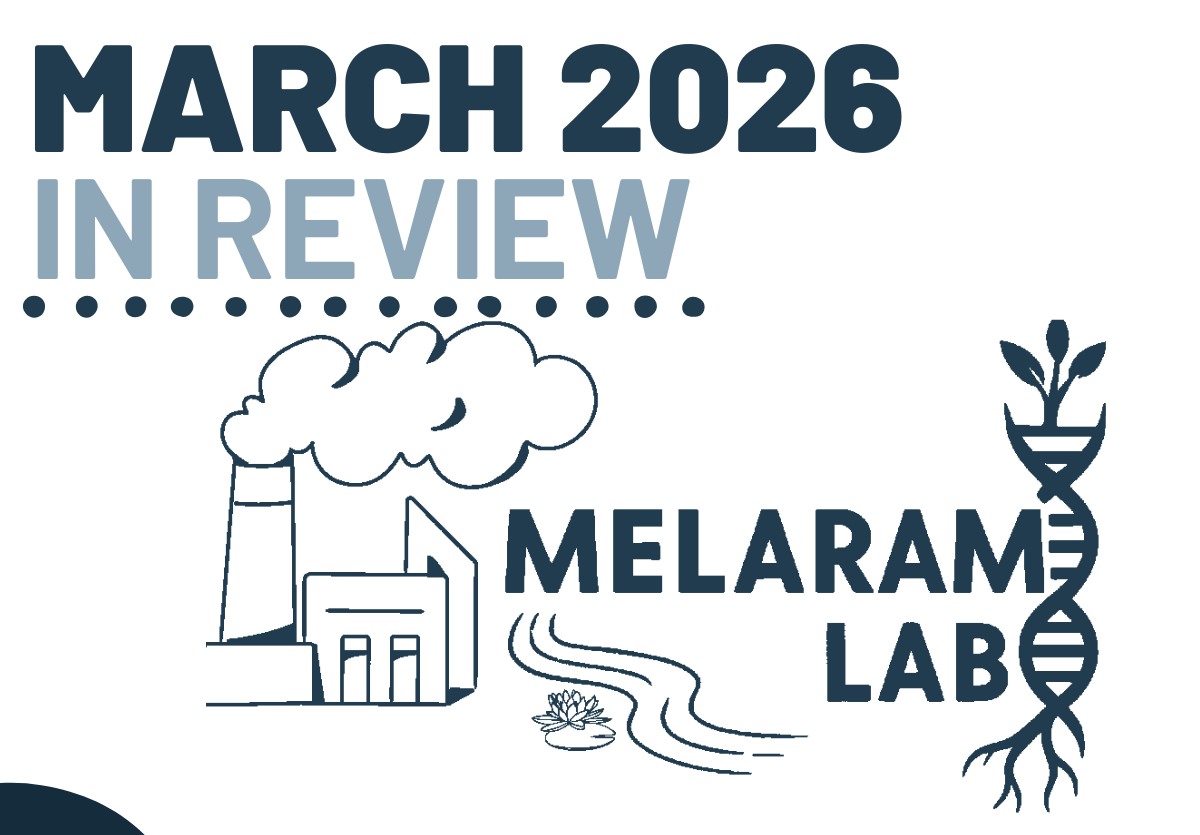 March 2026 in Review