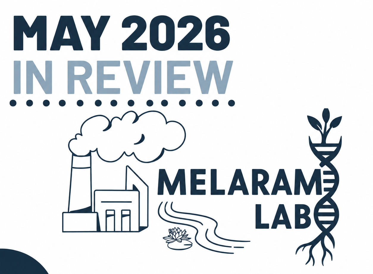 May 2026 in Review