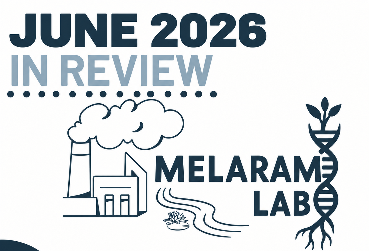 June 2026 in Review