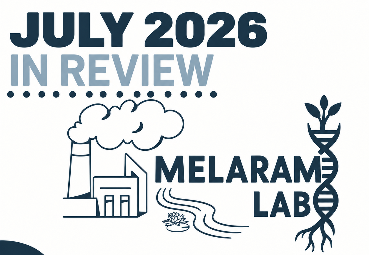 July 2026 in Review