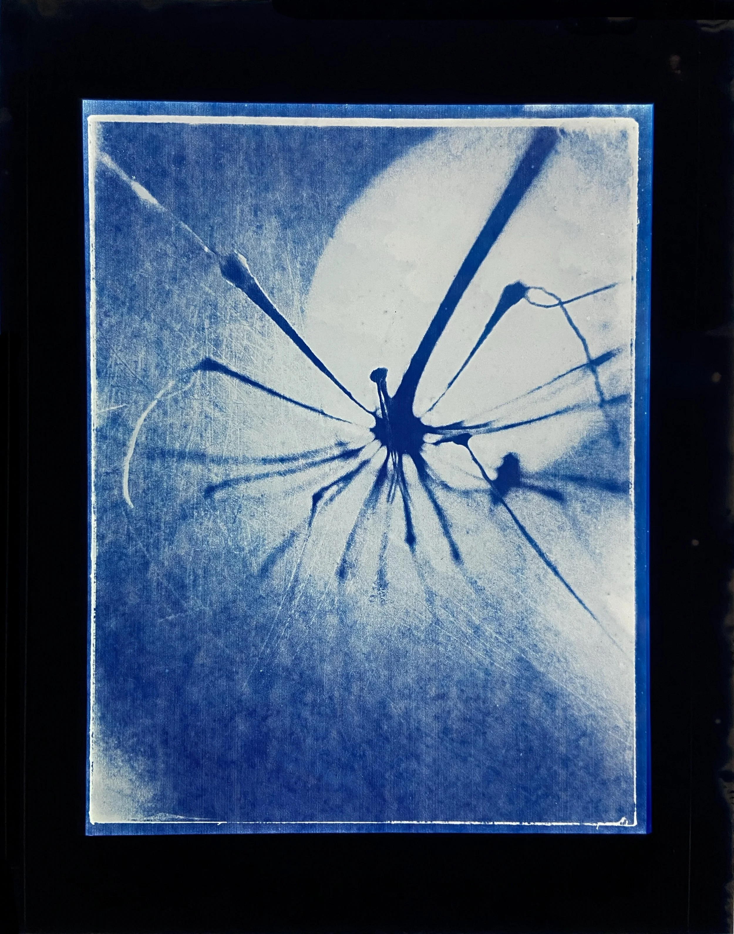 260421 Realized In Vail (G1) - 8.5X11" Cyanotype Image on 11x14" Glass, Framed