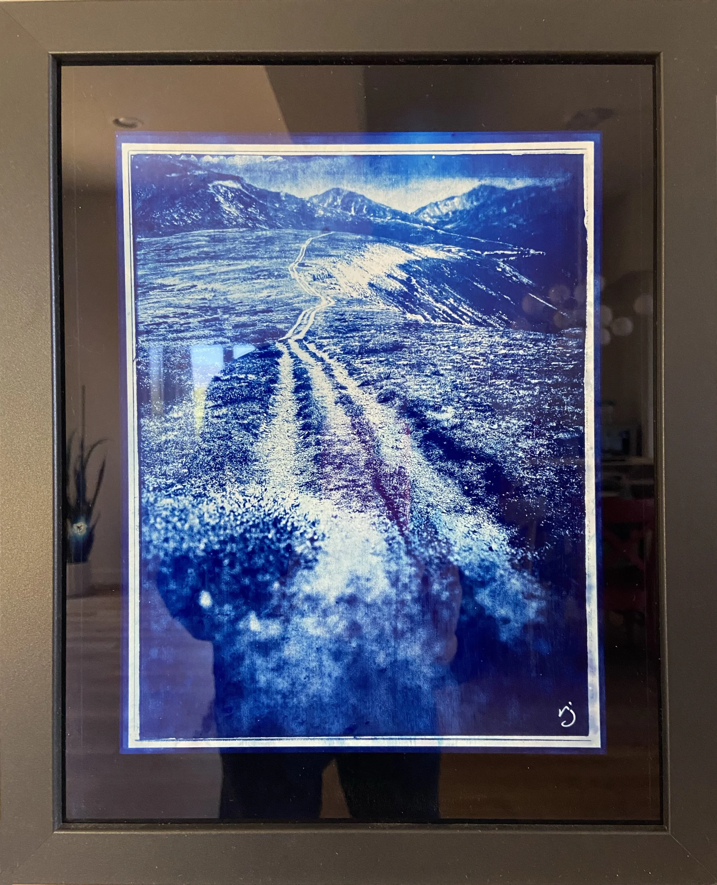 260422 Return To Independence (G1) - 8.5X11" Cyanotype Image on 11x14" Glass, Framed