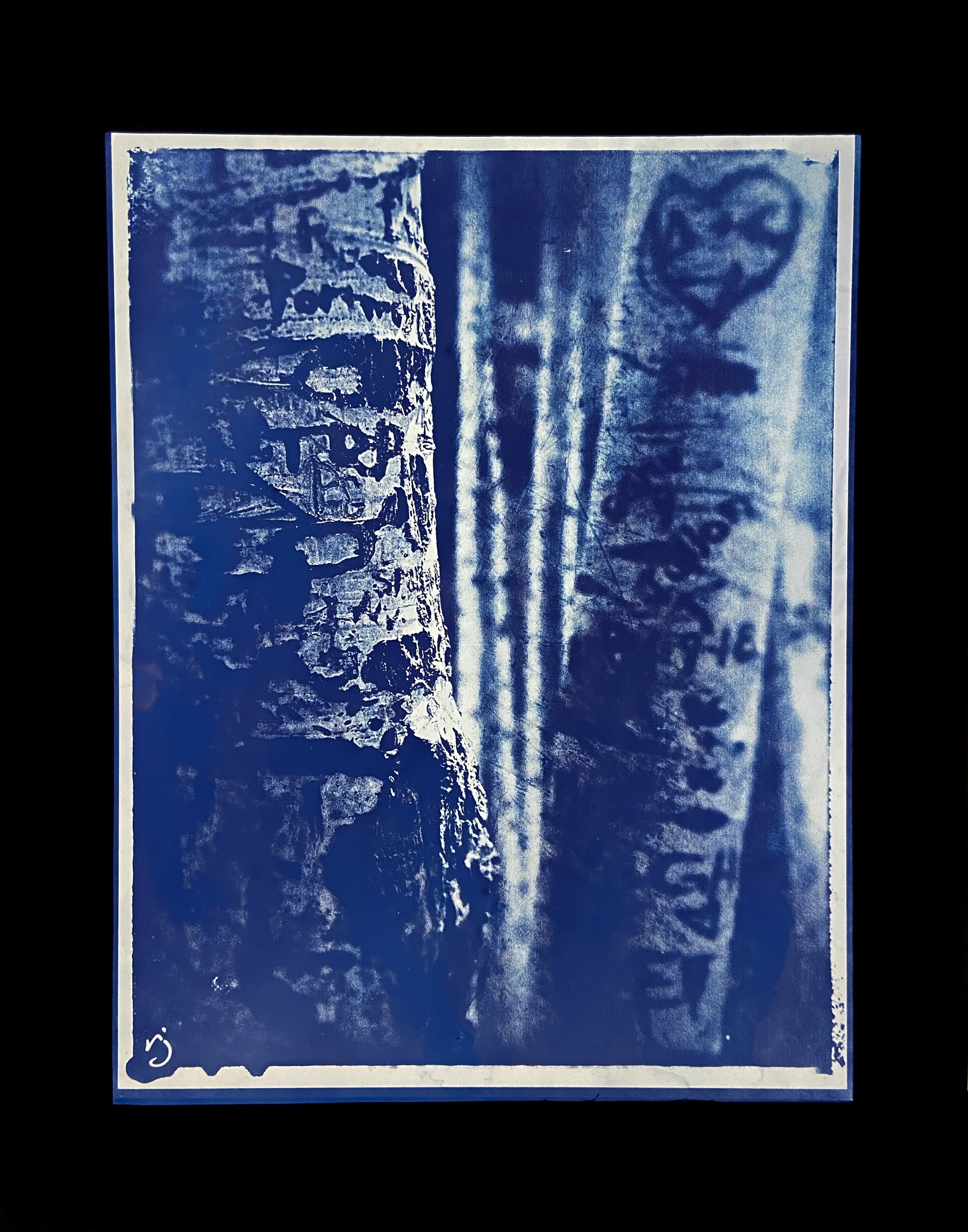 260427 Aspen's Aspens (G1) - 8.5X11" Cyanotype Image on 11x14" Glass, Framed