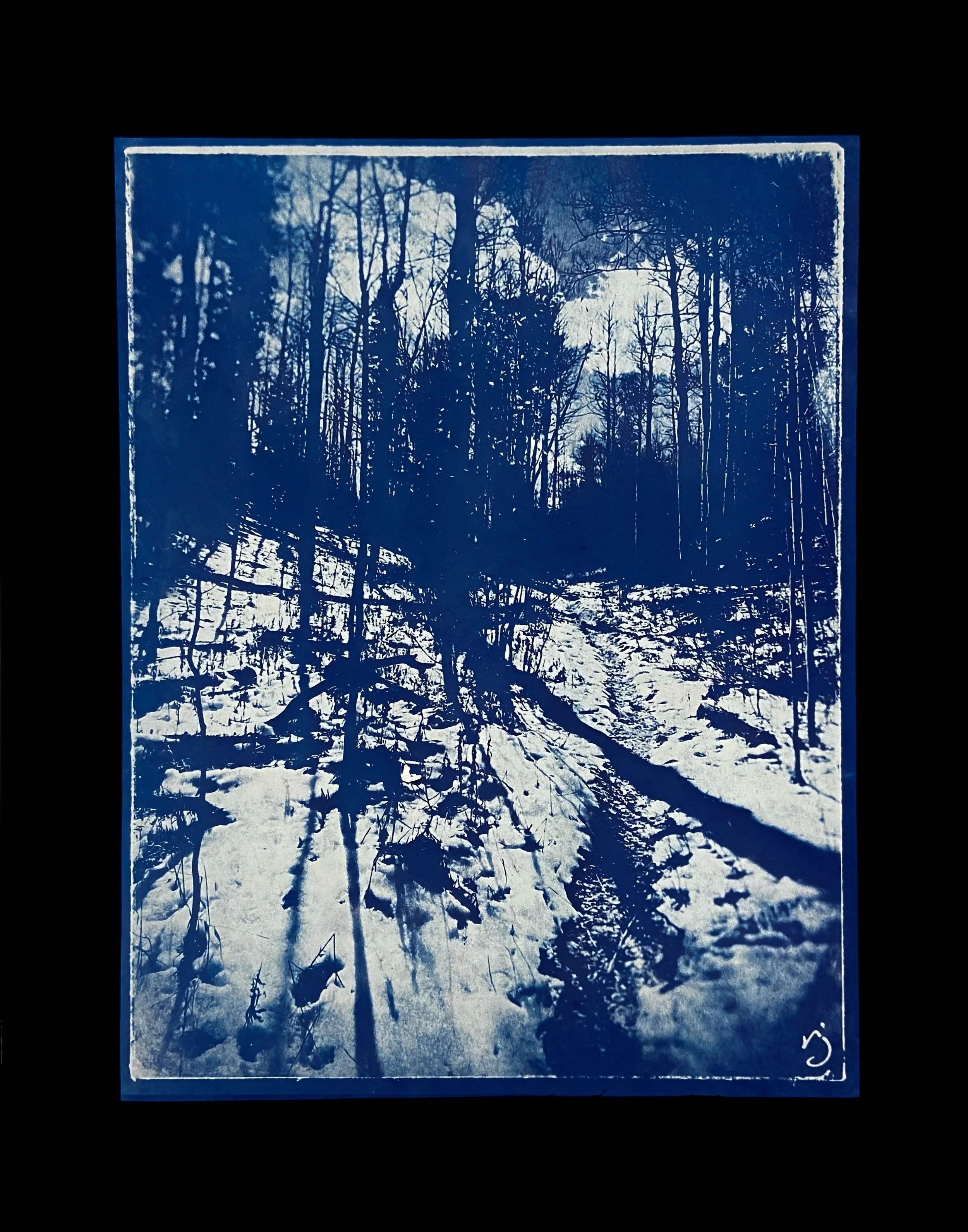 260425  One Path In The Snow (G1) - 8.5X11" Cyanotype Image on 11x14" Glass, Framed