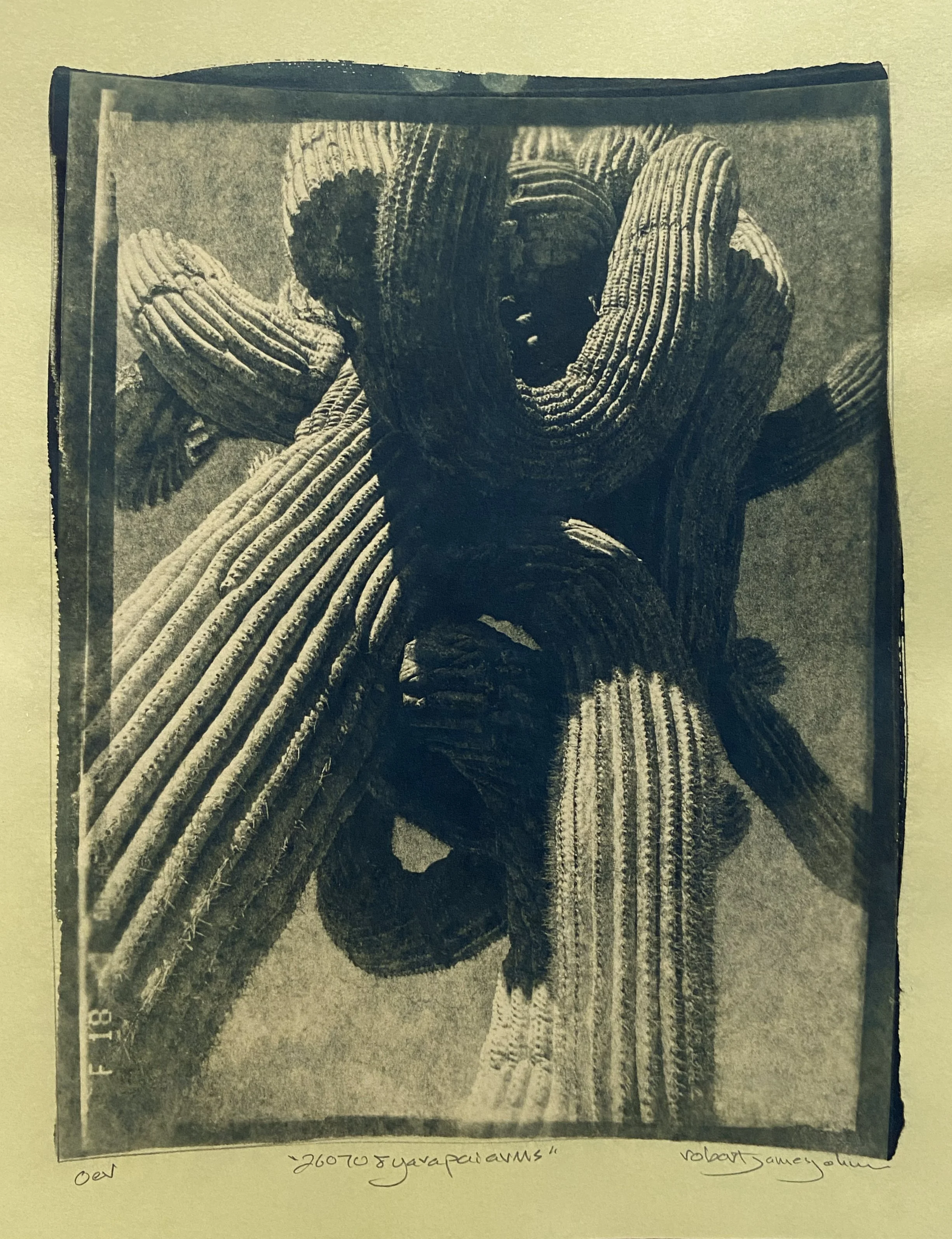 "260708 Yavapai Arms" -  - 8.5X11" Image on 10x13" French Pop Tone - Open Edition Variable - Toned with Coffee