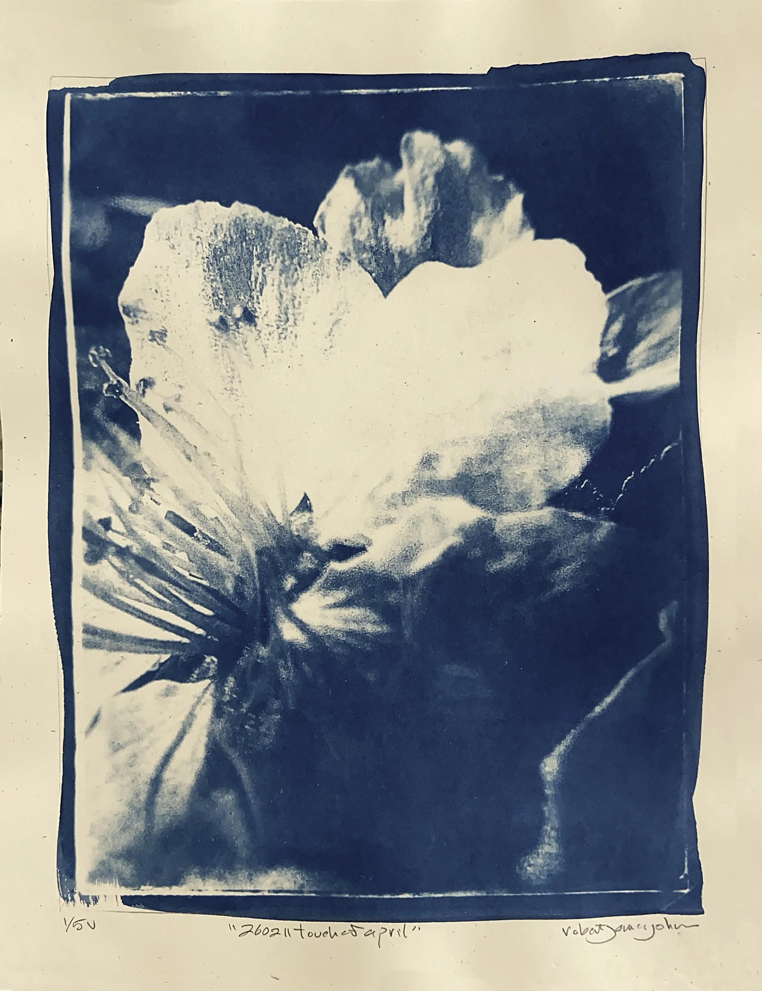 "260211 Touch of April" - 8.5X11" Cyanotype Image on 10x13" French Speckletone - 1 of 5 Variable