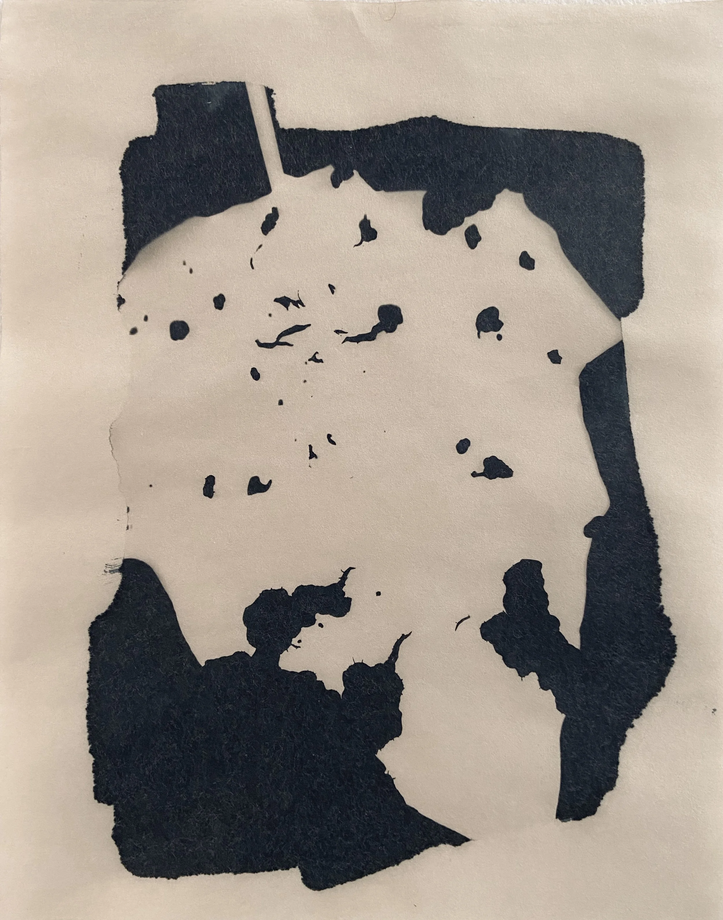 "260822 Jimson Silhouette"