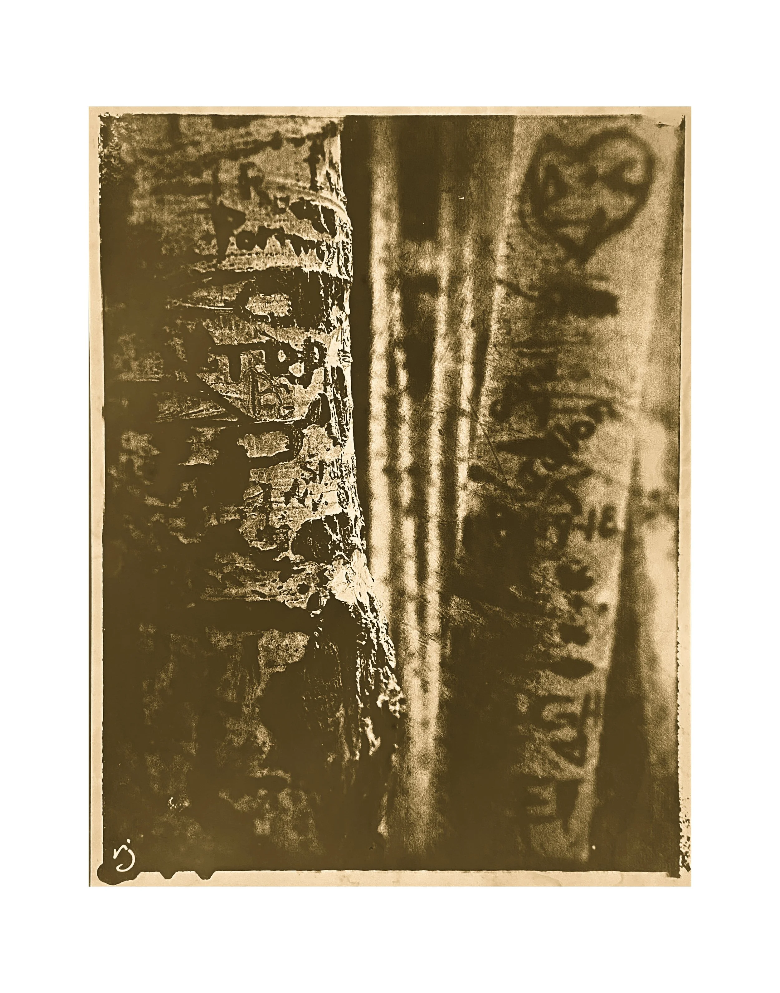 260427 Aspen's Aspens (Reproduction).jpg