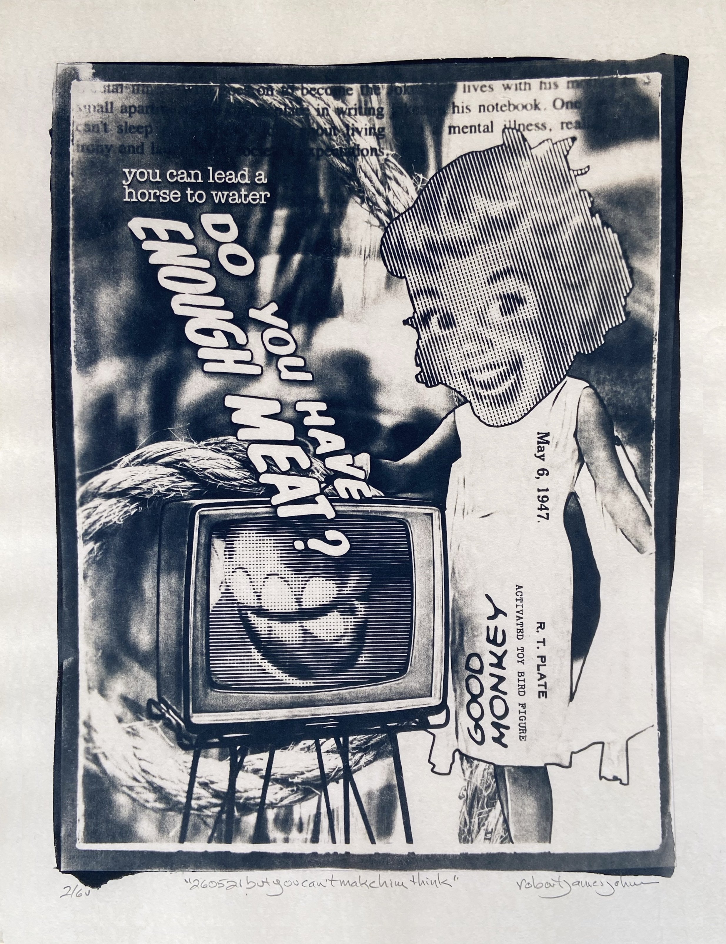 260521 But You Can't Make Him Think - Cyanotype on Paper - Coffee Toned